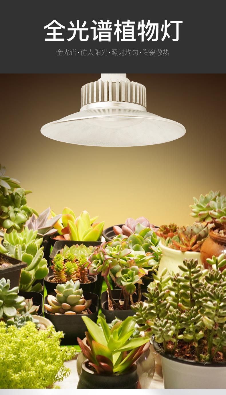 Full spectrum plant lamp growth lamp indoor flower seedling greenhouse multi flesh supplementary light