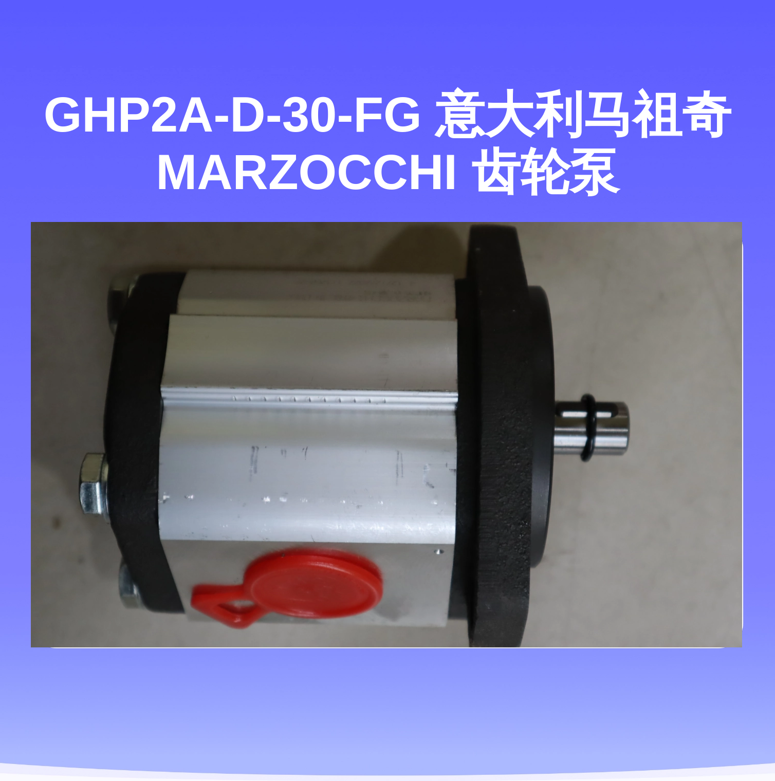 GHP2A-D-30-FG 意大利马祖奇MARZOCCHI 齿轮泵