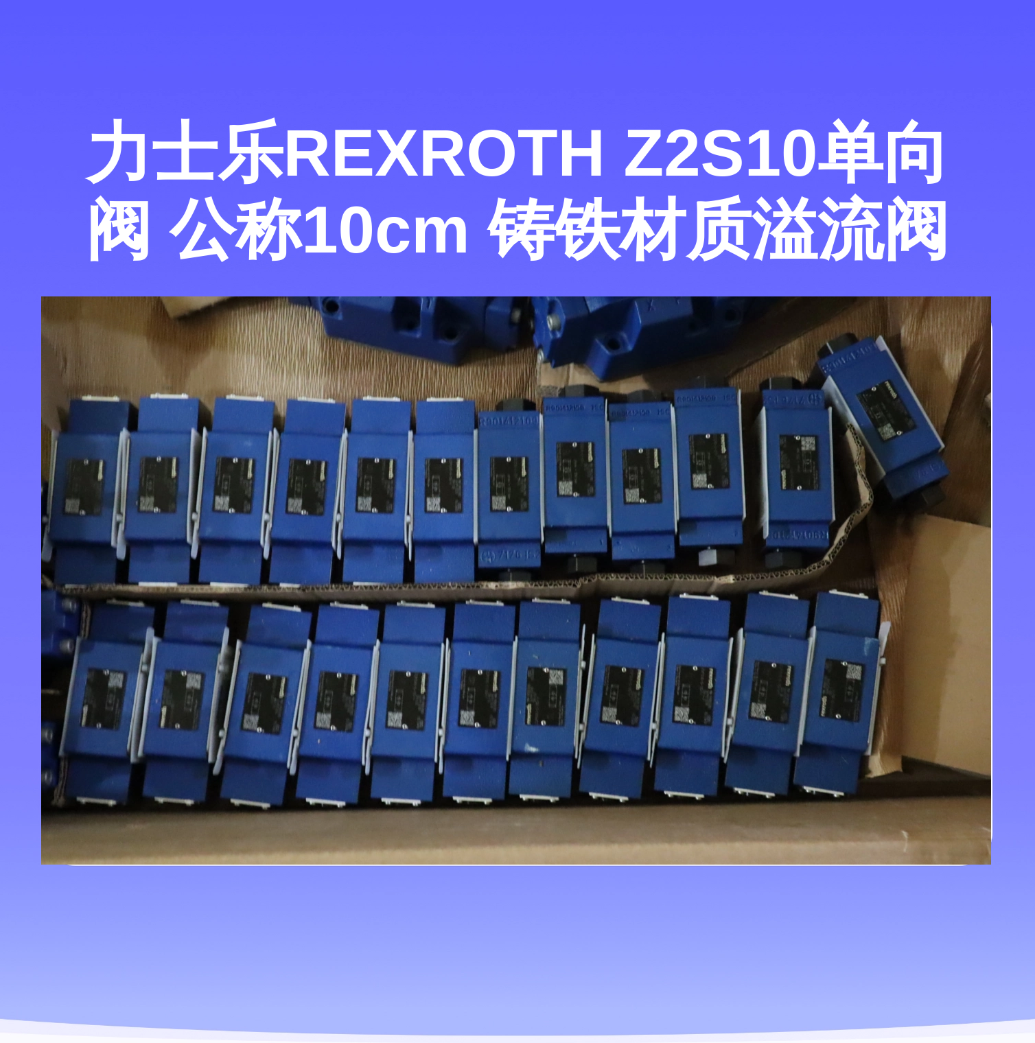 力士乐REXROTH Z2S10单向阀 公称10cm 铸铁材质溢流阀
