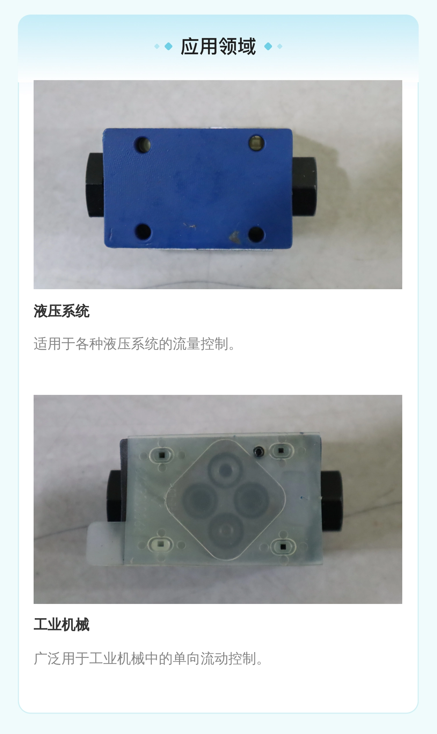 德国力士乐REXROTH单向阀SV6PB1系列进口铸铁