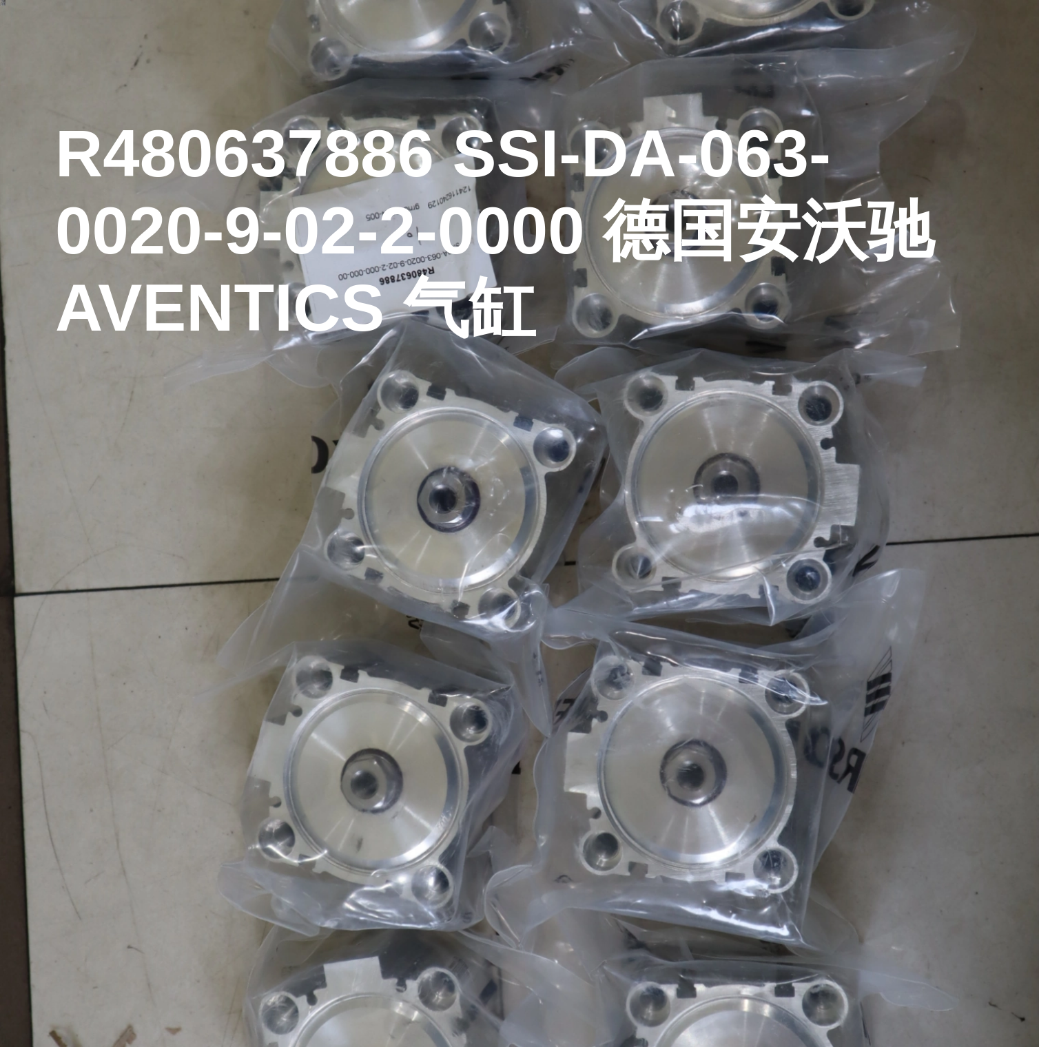 R480637886 SSI-DA-063-0020-9-02-2-0000 德国安沃驰AVENTICS 气缸