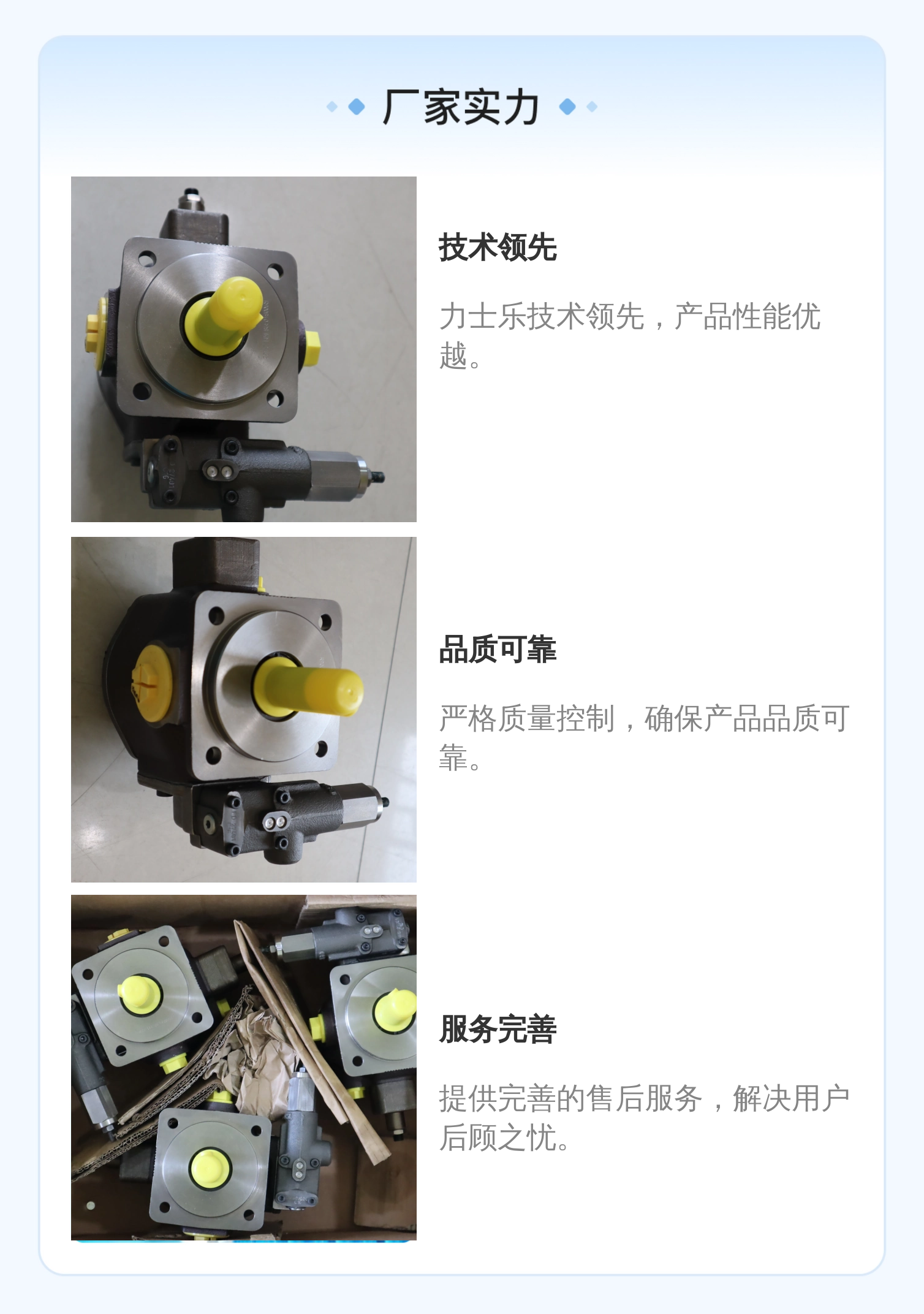 力士乐REXROTH蓝色铸铁叶片泵R900580382型号
