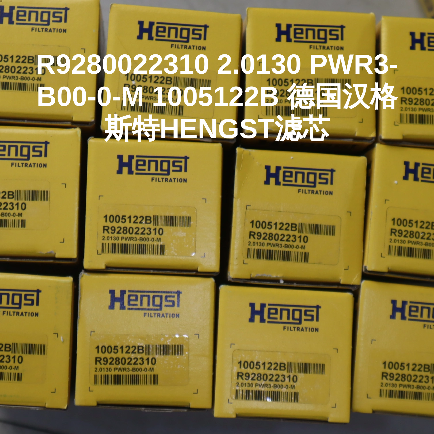 R9280022310 2.0130 PWR3-B00-0-M 1005122B 德国汉格斯特HENGST滤芯