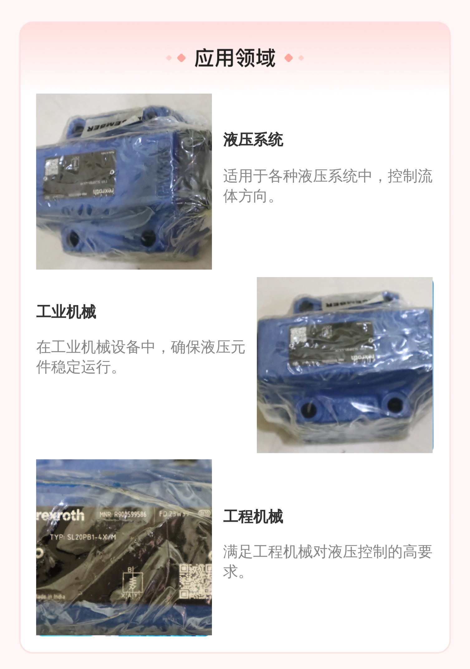 力士乐REXROTH德国产单向阀 R900599586 蓝色铸铁材质
