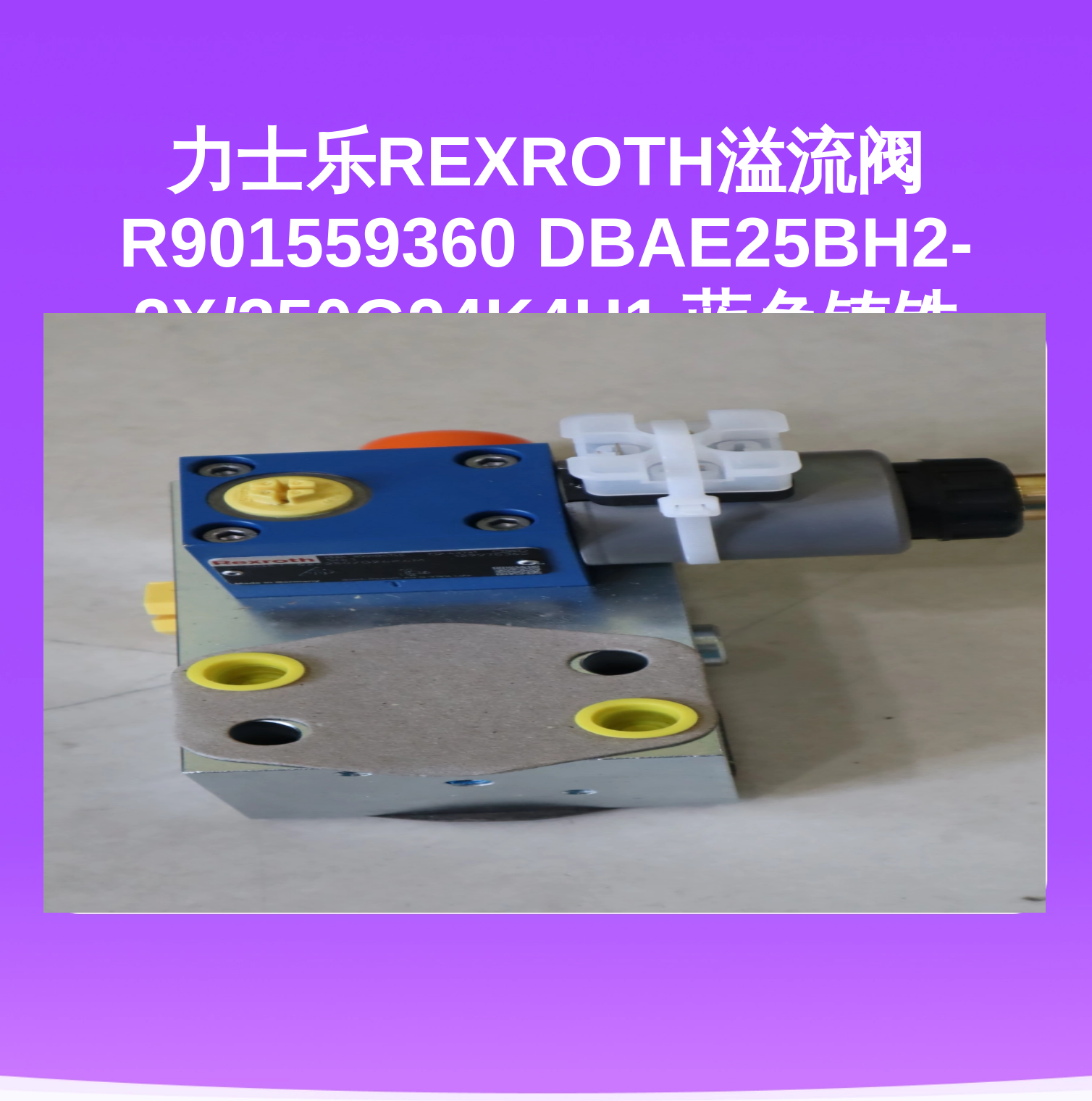 力士乐REXROTH溢流阀 R901559360 DBAE25BH2-2X/350G24K4H1 蓝色铸铁