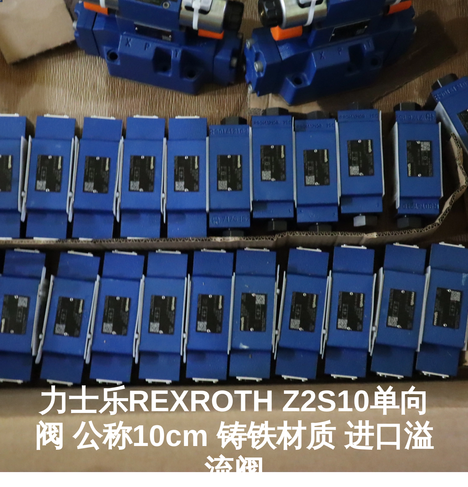 力士乐REXROTH Z2S10单向阀 公称10cm 铸铁材质 进口溢流阀