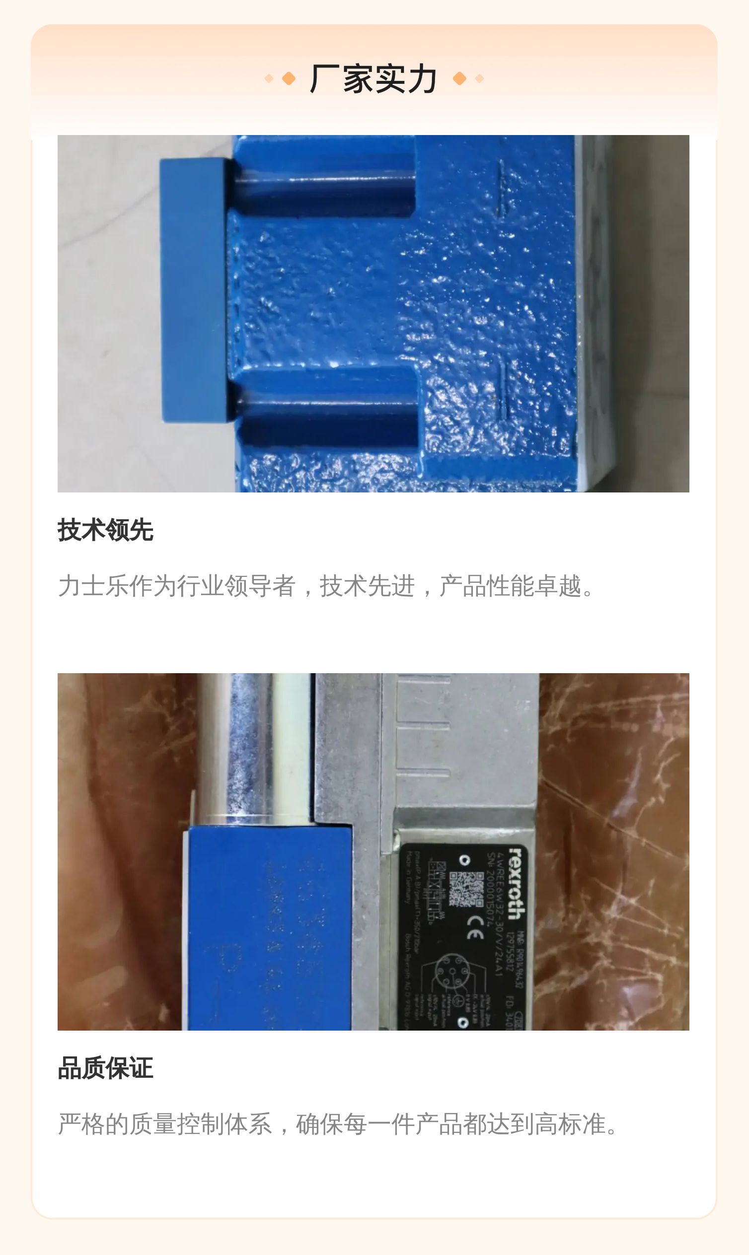 力士乐REXROTH蓝色铸铁密封套件 液压系统用 德国进口