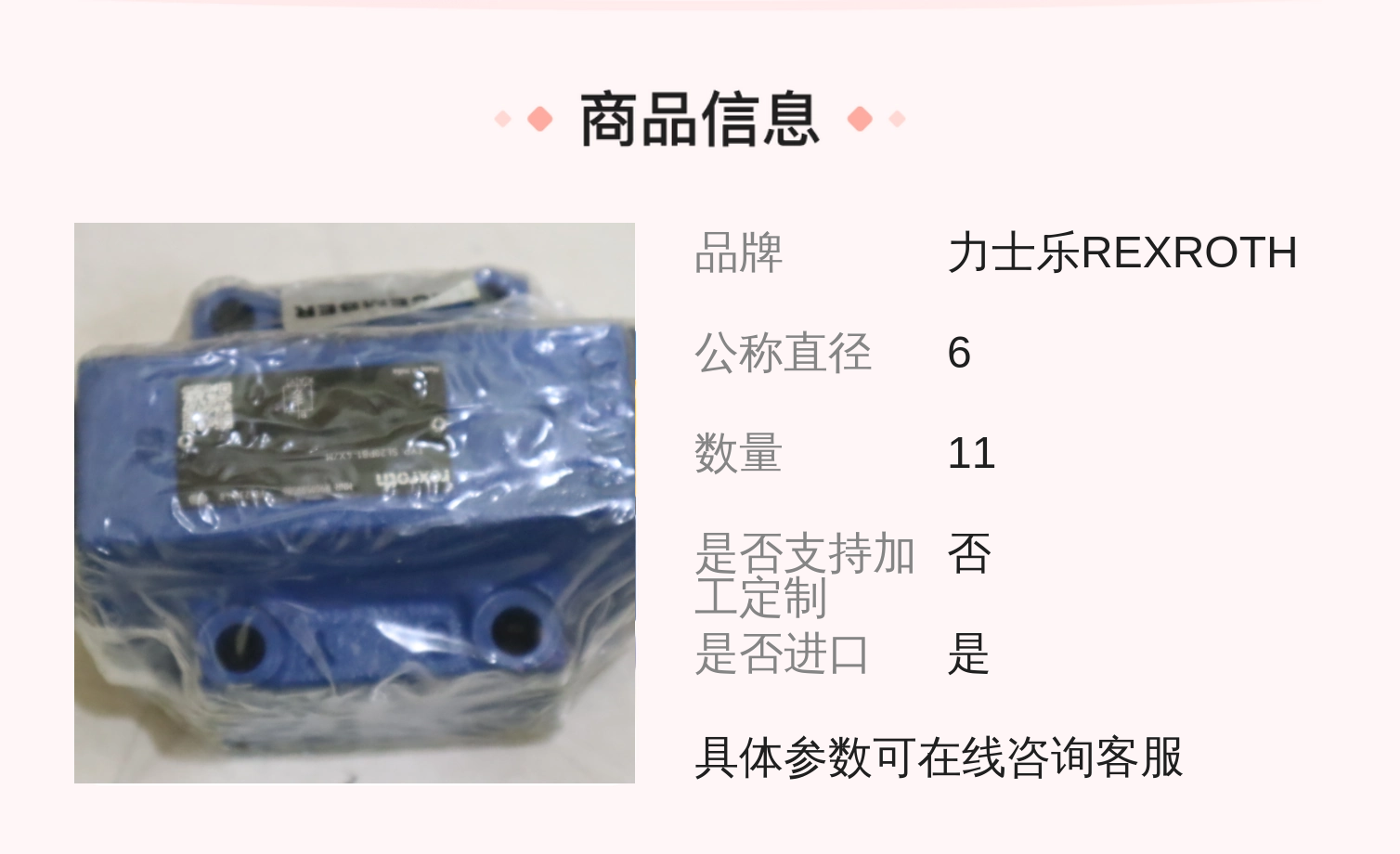 力士乐REXROTH德国产单向阀 R900599586 蓝色铸铁材质
