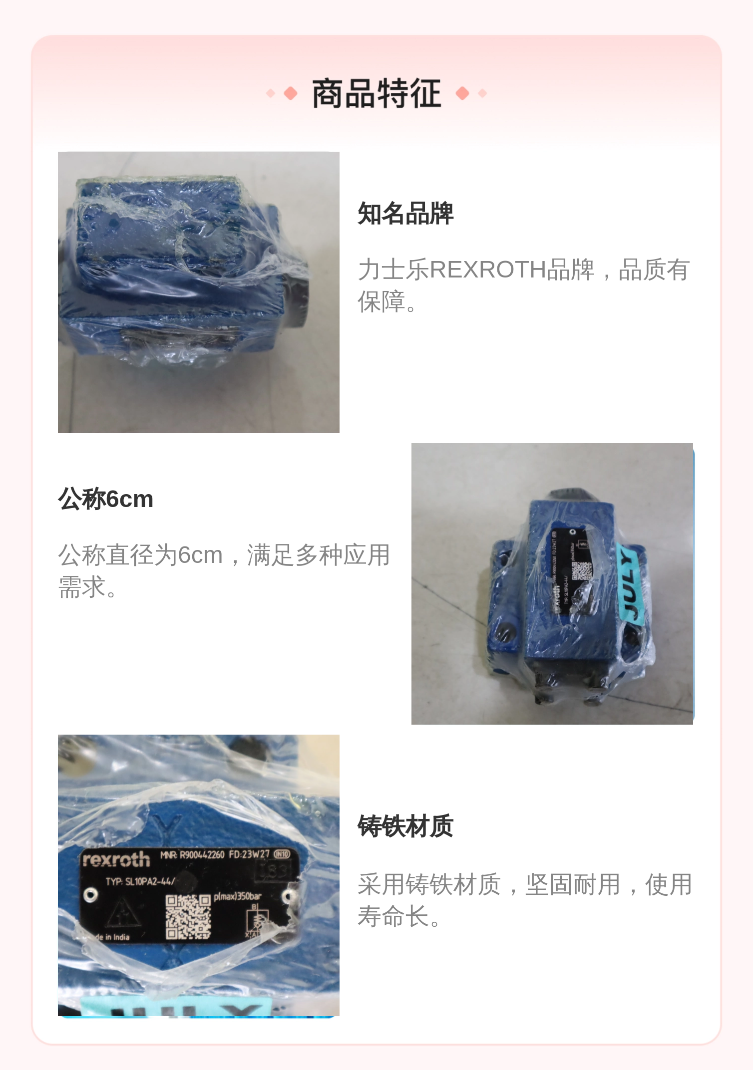 力士乐REXROTH SL20PA1单向阀 公称6cm 铸铁材质 进口溢流阀