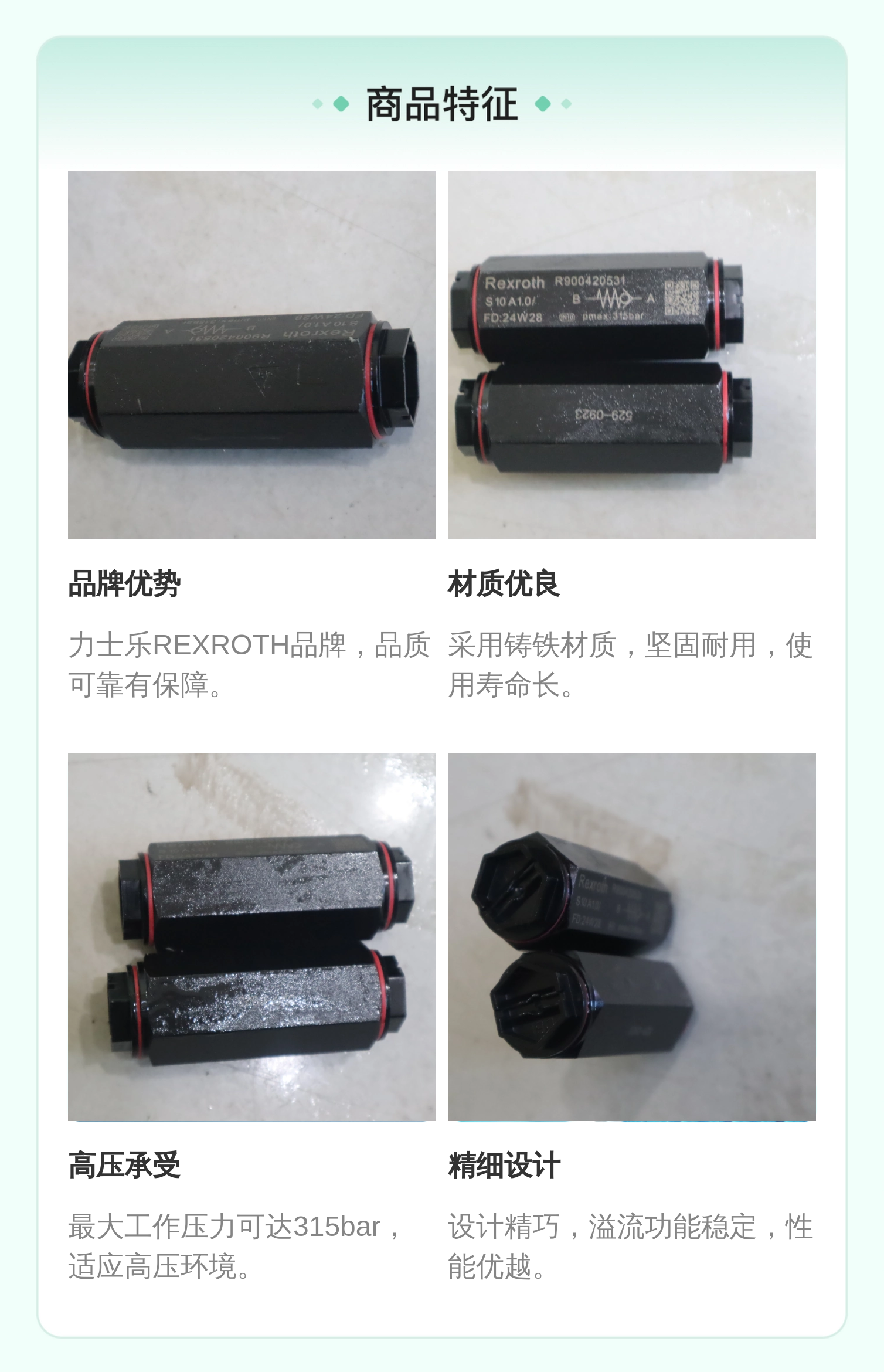 R900420531 S10A1.0/ 德国力士乐REXROTH单向阀