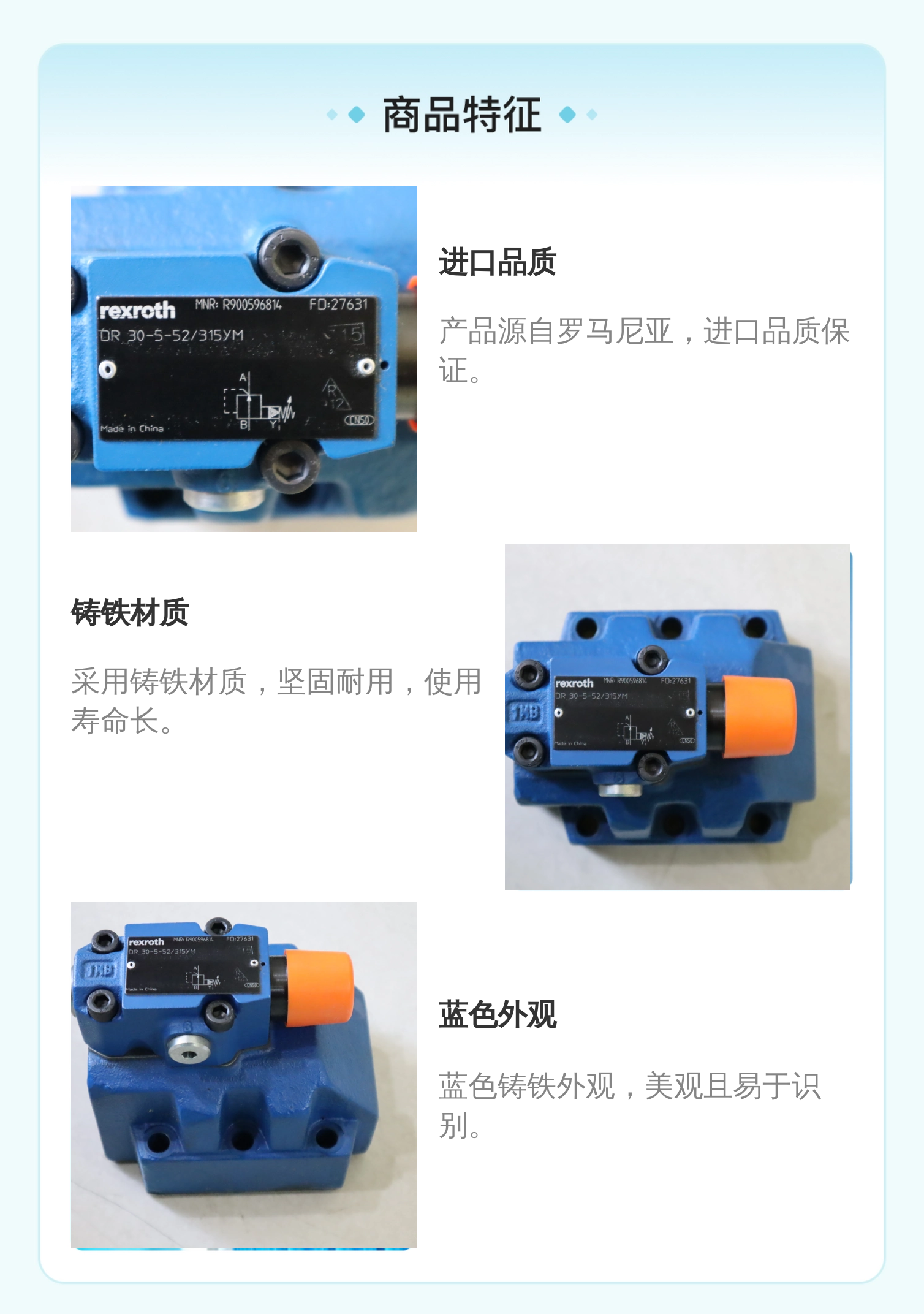 力士乐品牌DR30-5-51减压阀 蓝色铸铁 溢流阀 进口