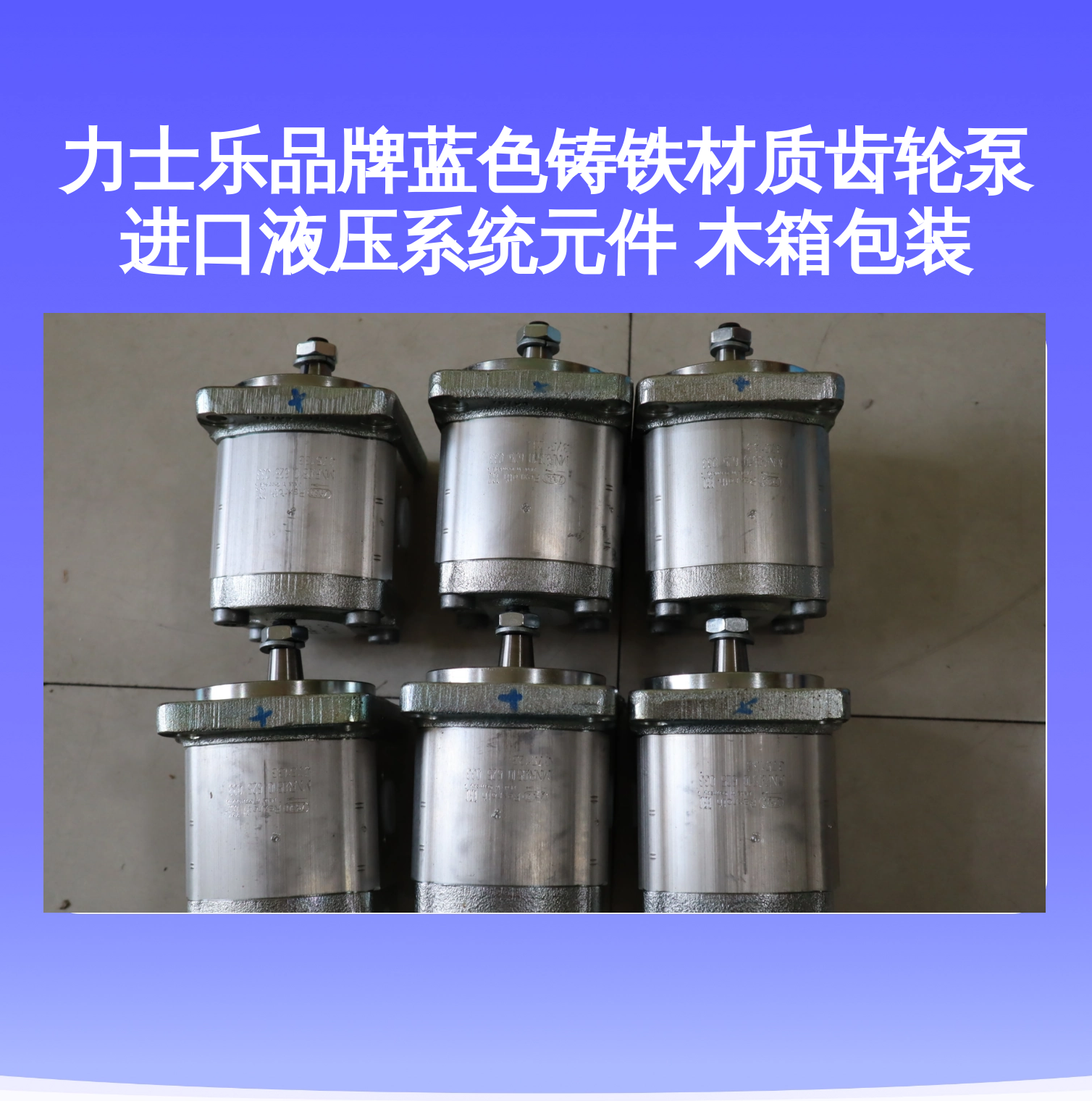力士乐品牌蓝色铸铁材质齿轮泵 进口液压系统元件 木箱包装