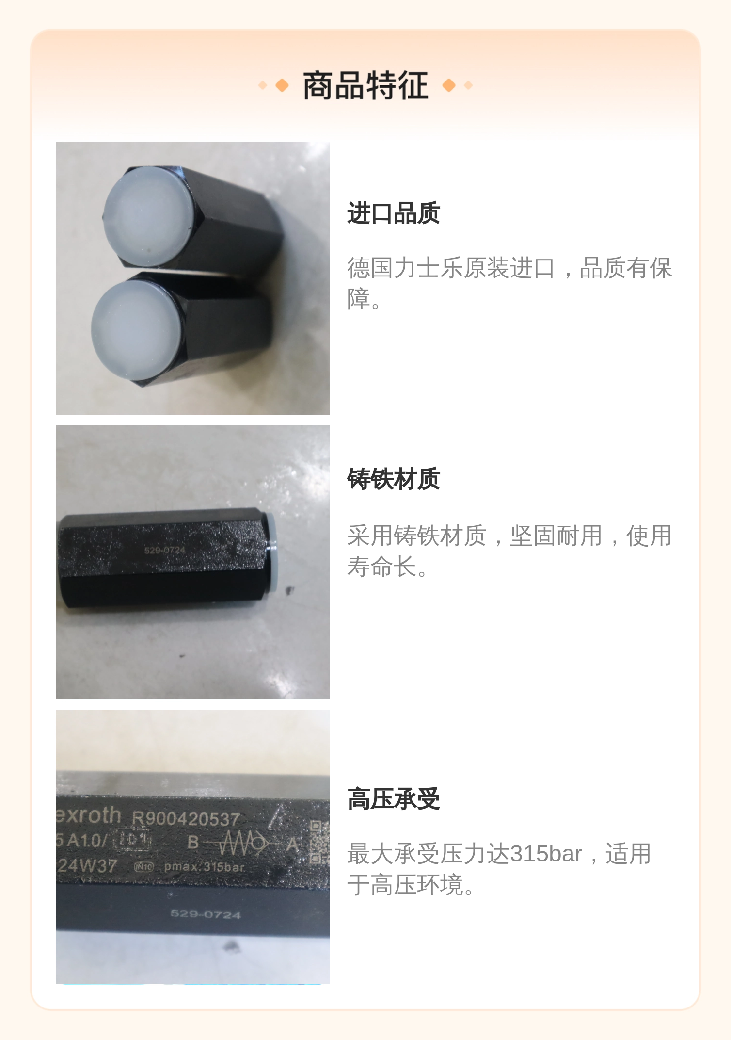 R900420537 S15A1.0/ 德国力士乐REXROTH单向阀