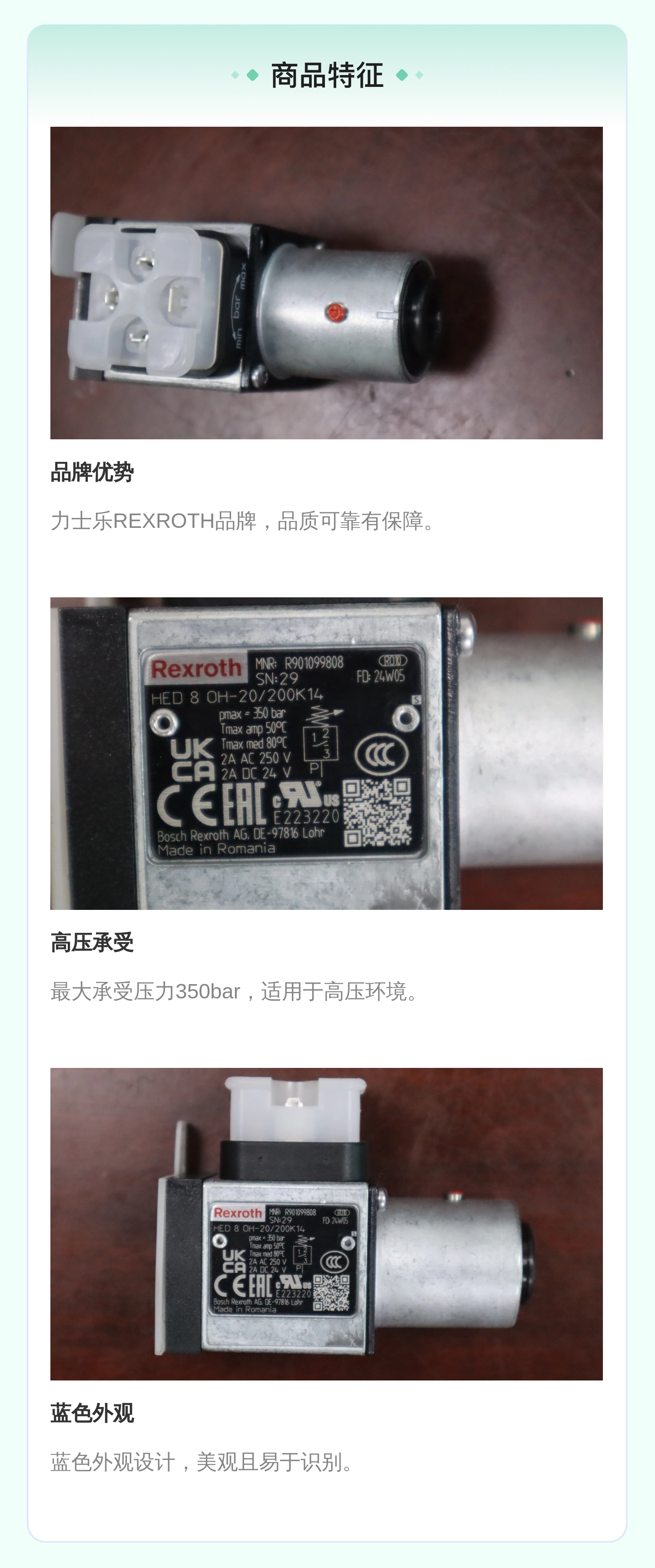 德国力士乐REXROTH R901099808压力继电器开关 蓝色液压系统专用