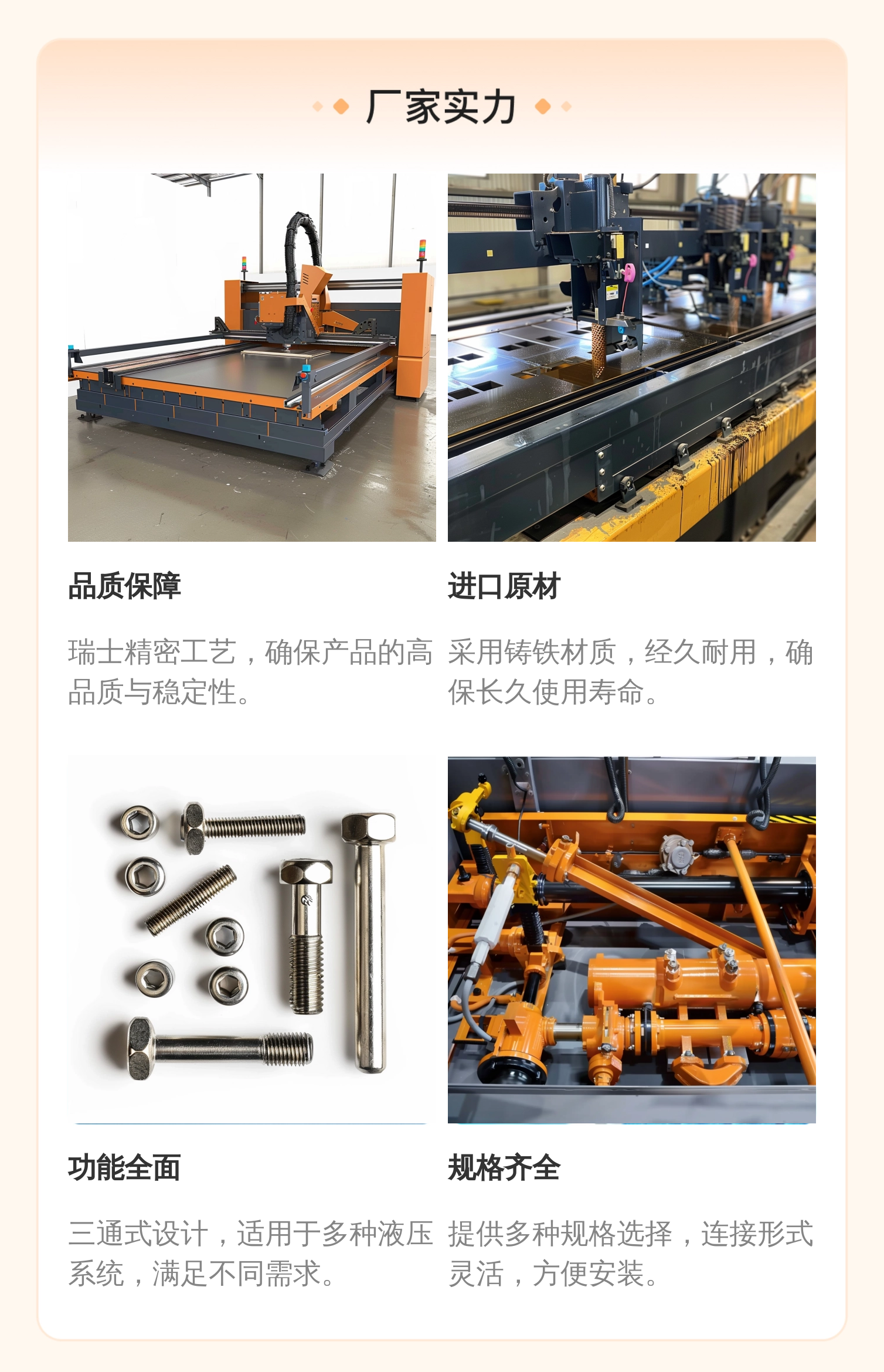 BUCHER-BUCHER HYDRAULICS 瑞士布赫液压阀SD-P-6-1