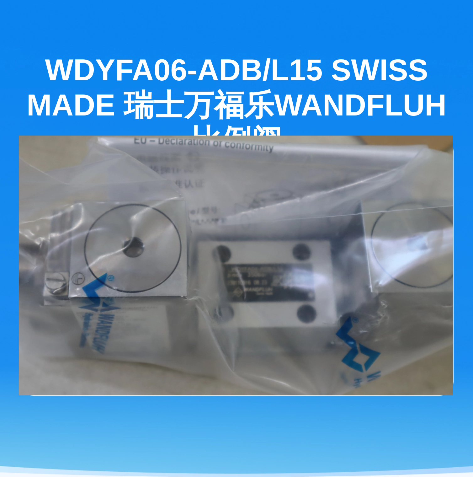 WDYFA06-ADB/L15 SWISS MADE 瑞士万福乐WANDFLUH比例阀