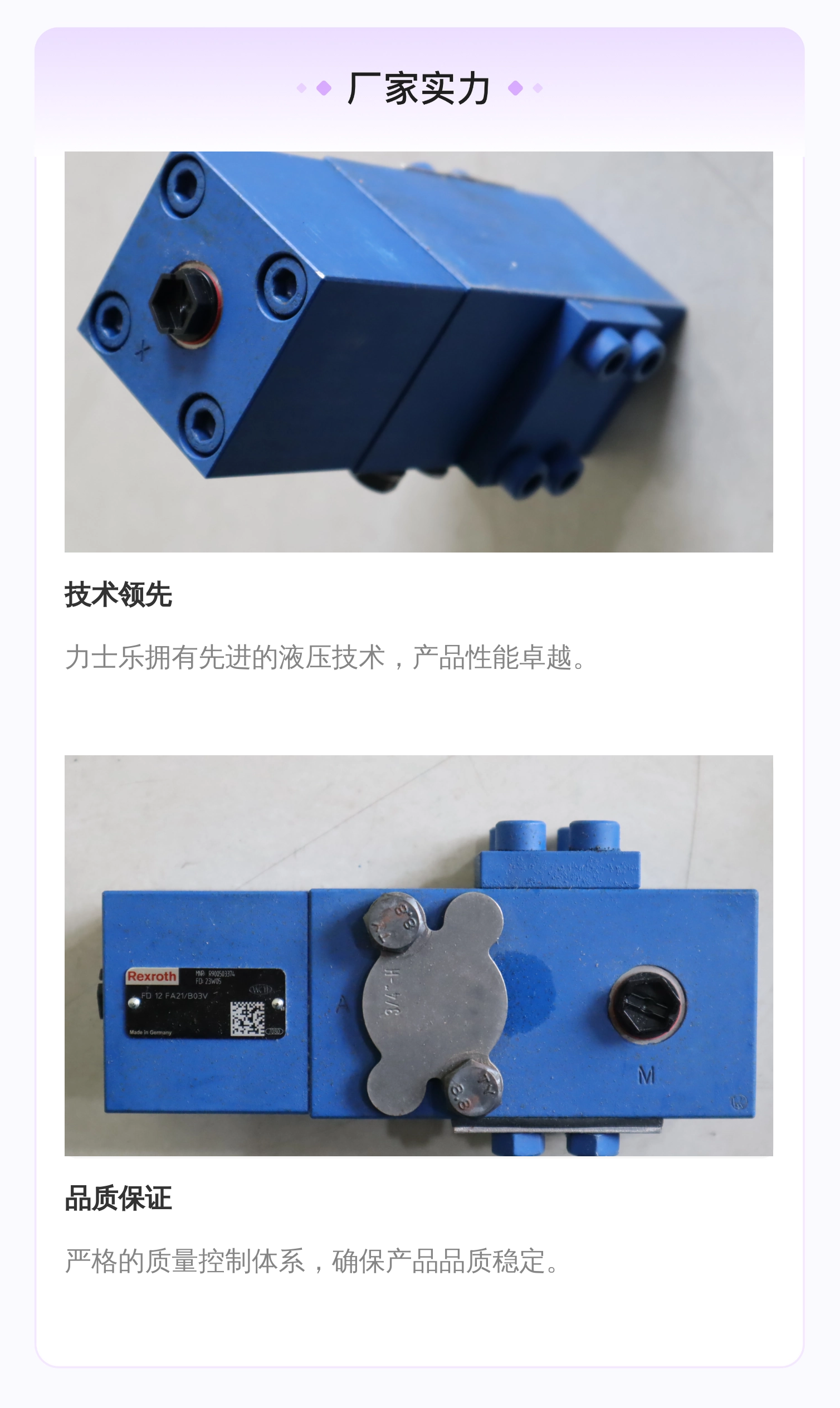 FD12FA21/B03V FD12FA20/B03V R900503374 德国力士乐REXROTH平衡阀