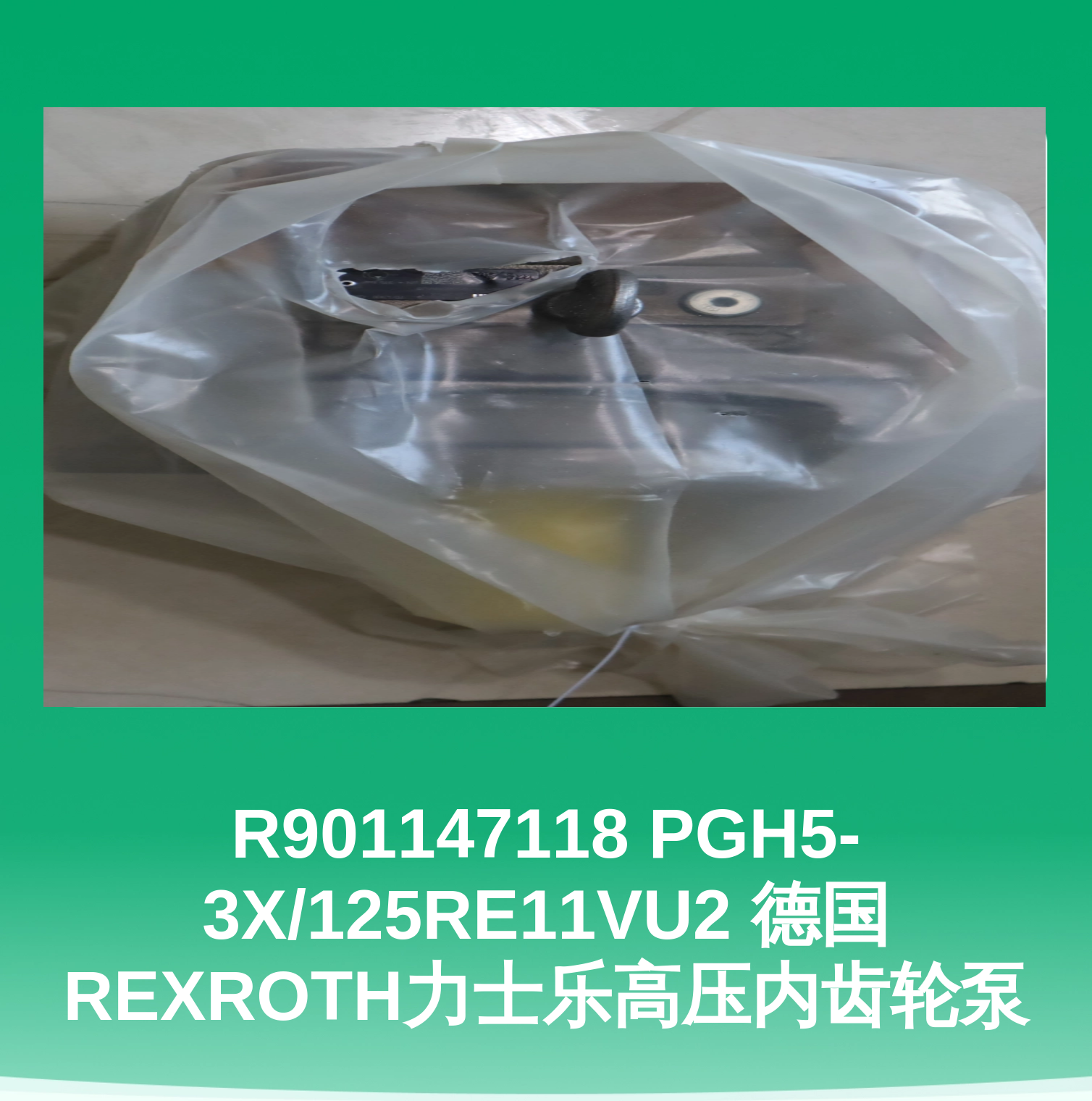 R901147118 PGH5-3X/125RE11VU2 德国REXROTH力士乐高压内齿轮泵