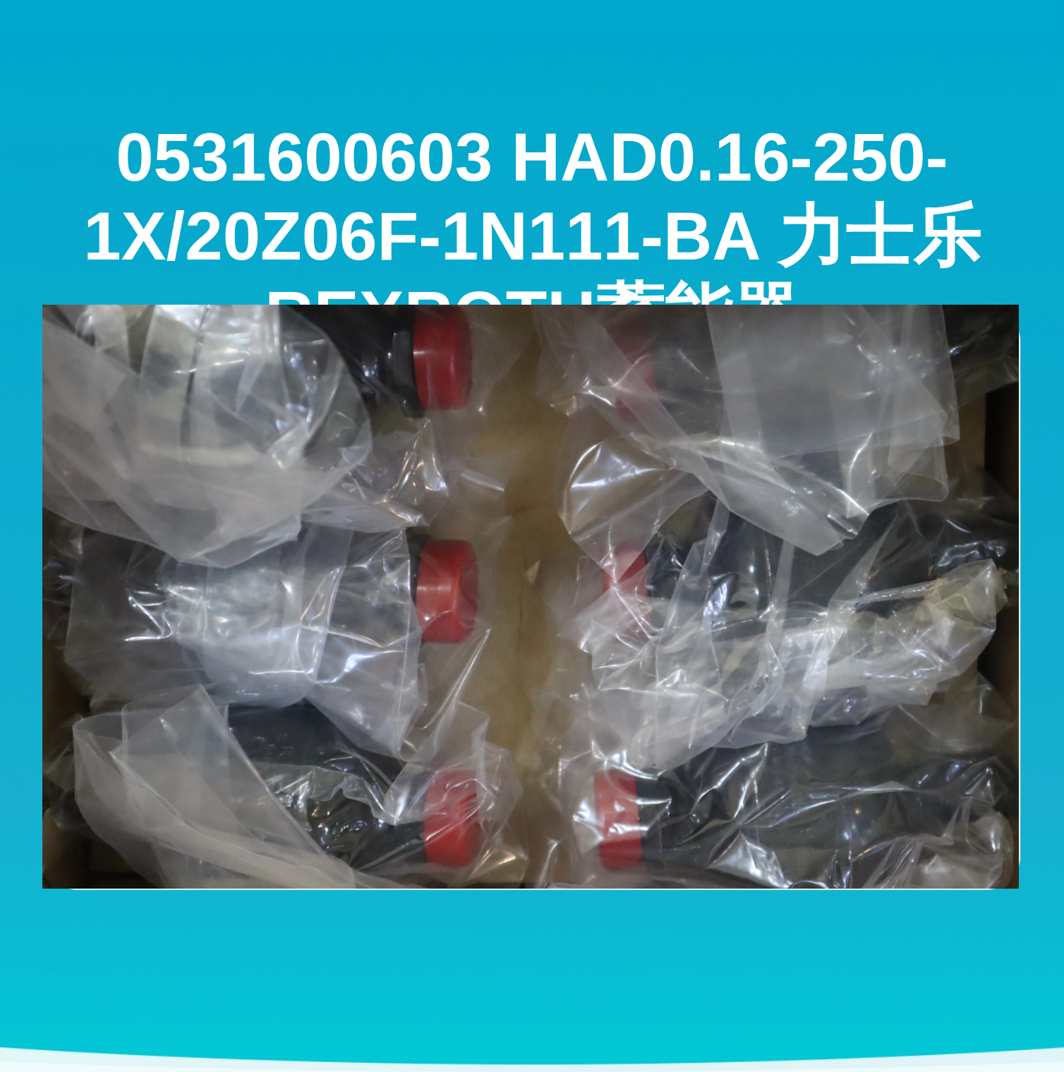 0531600603 HAD0.16-250-1X/20Z06F-1N111-BA 力士乐REXROTH蓄能器