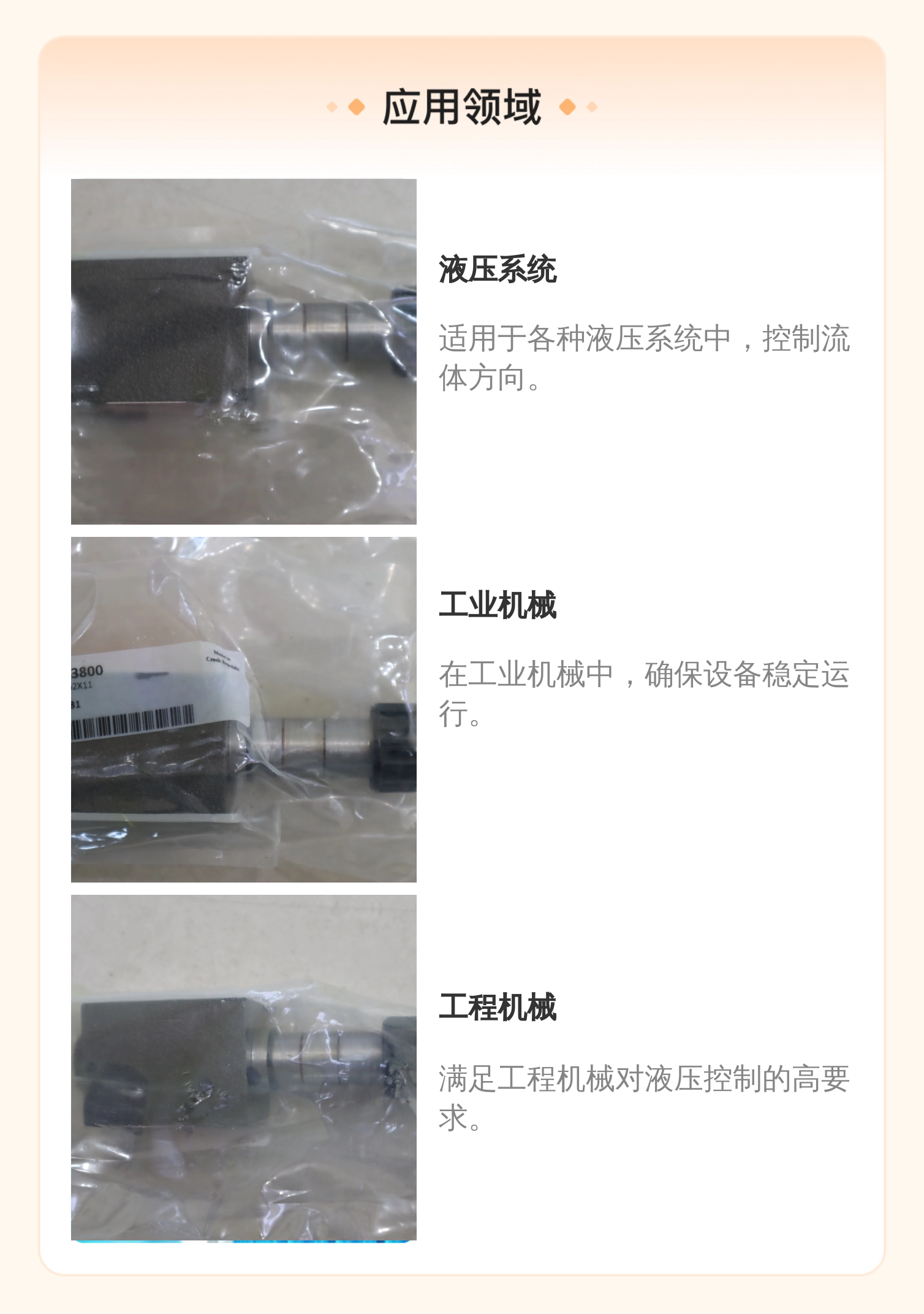 德国力士乐REXROTH蓝色铸铁电磁阀RPE3-062X11