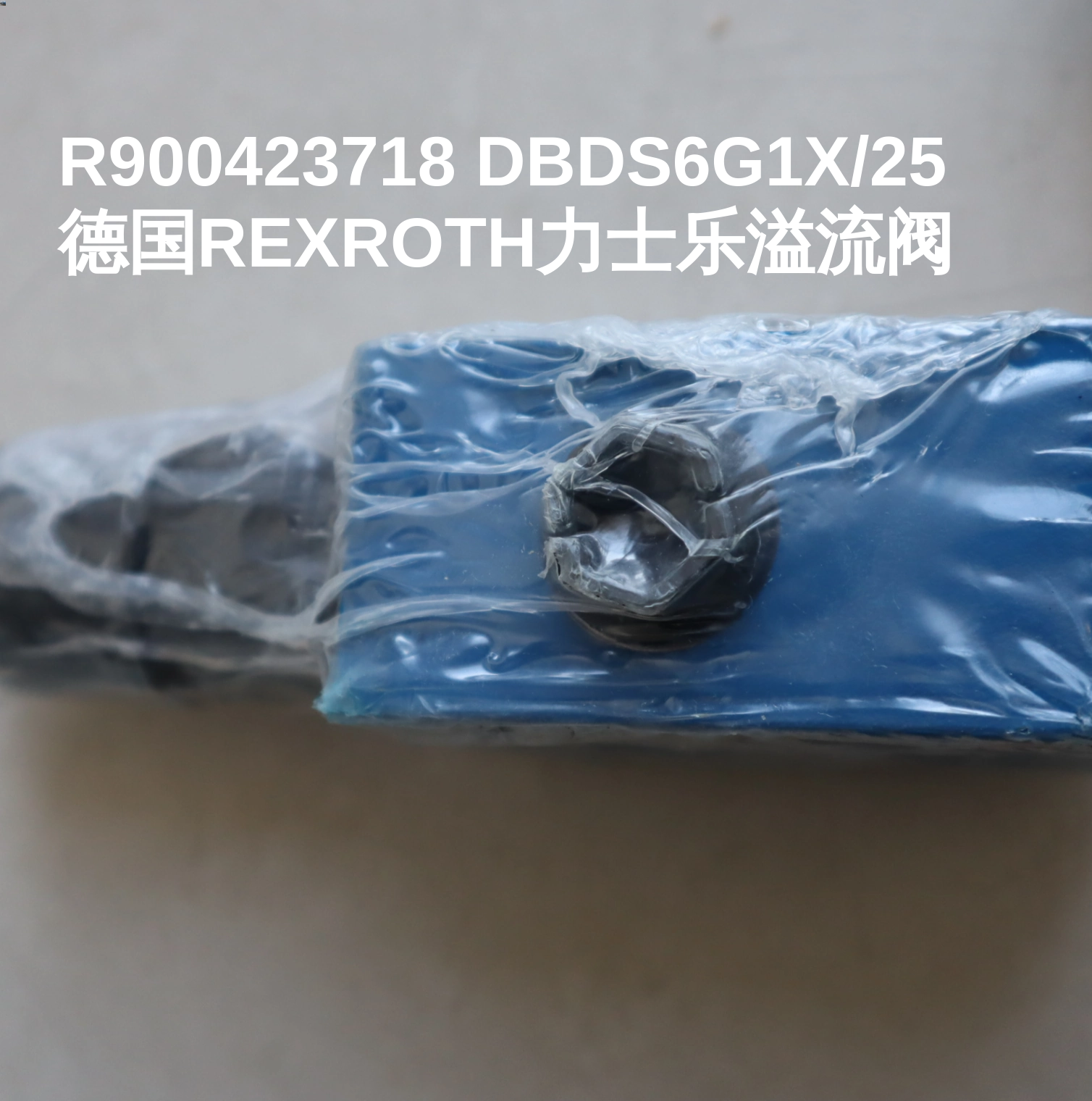R900423718 DBDS6G1X/25 德国REXROTH力士乐溢流阀