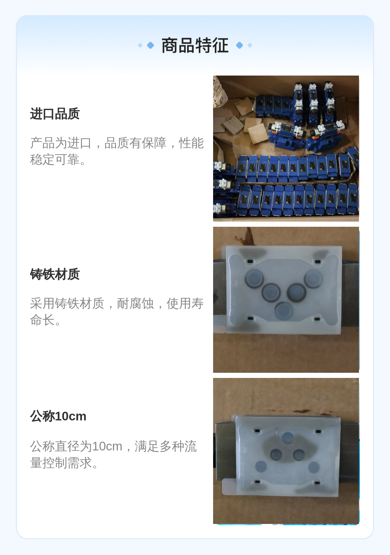 力士乐REXROTH Z2S10单向阀 公称10cm 铸铁材质 进口溢流阀
