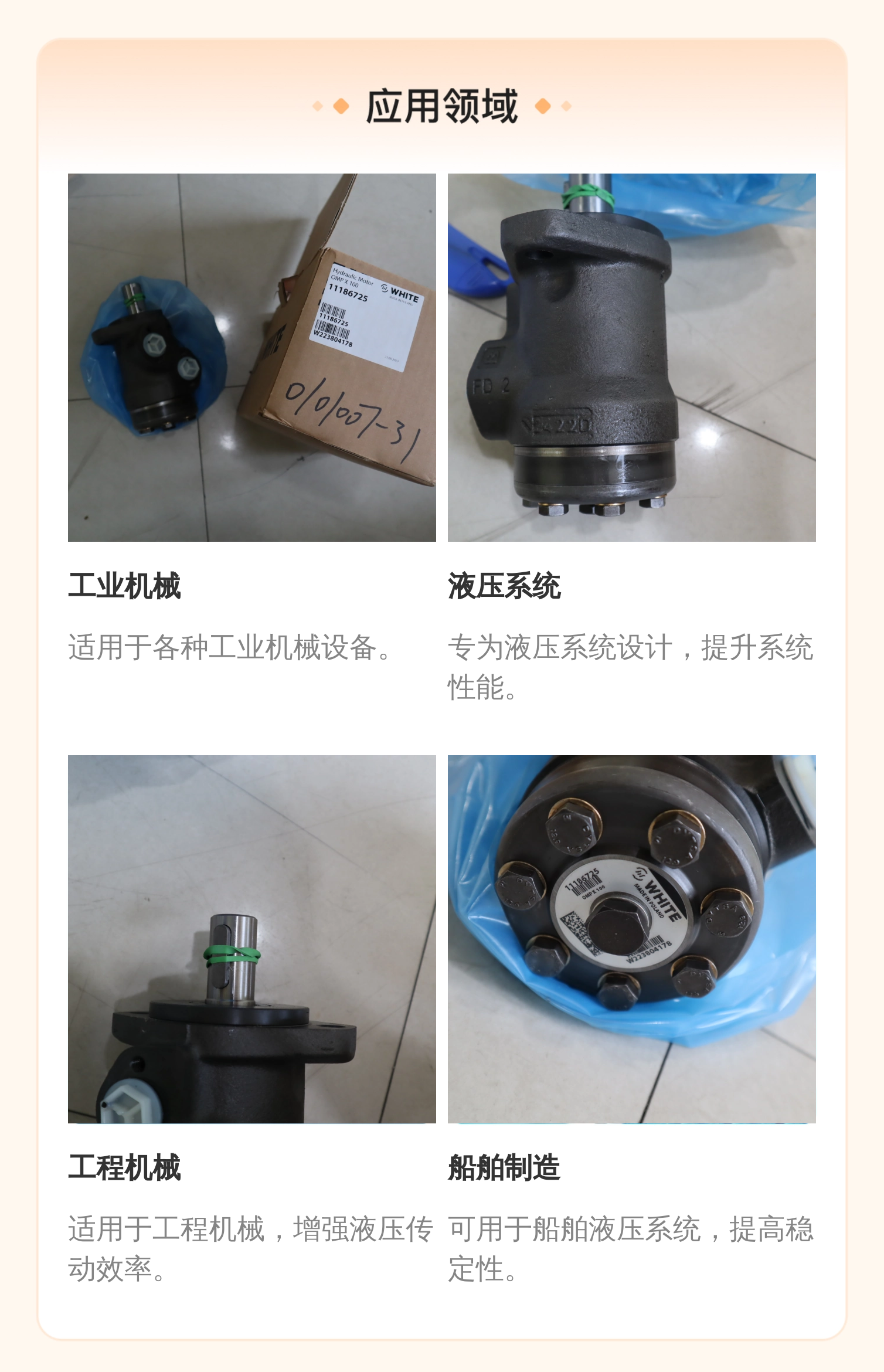 原装进口 11186725 OMPX100 意大利WHITE怀特液压泵丹佛斯DANFOSS