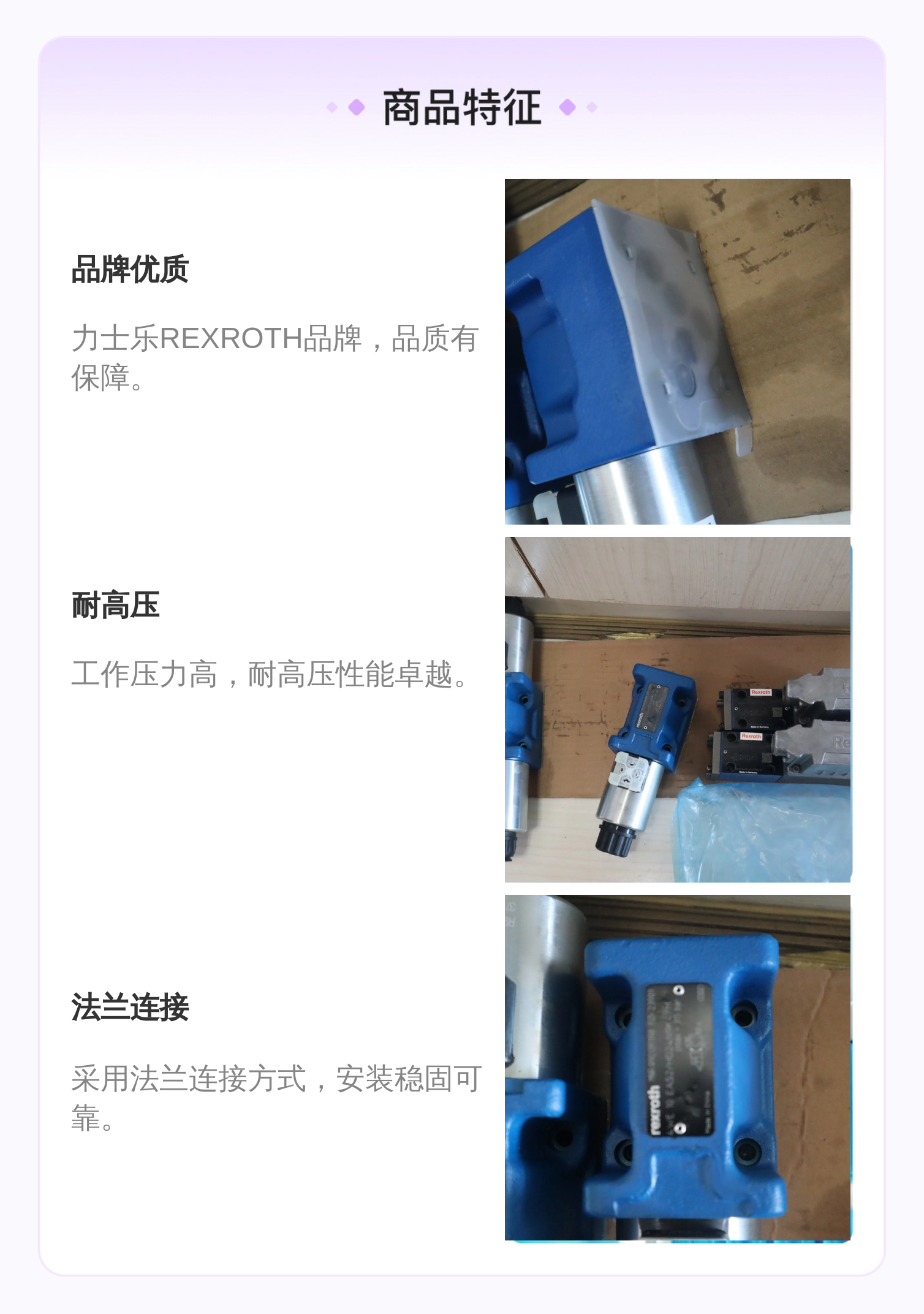 力士乐REXROTH蓝色铸铁电磁阀 R901391198型号