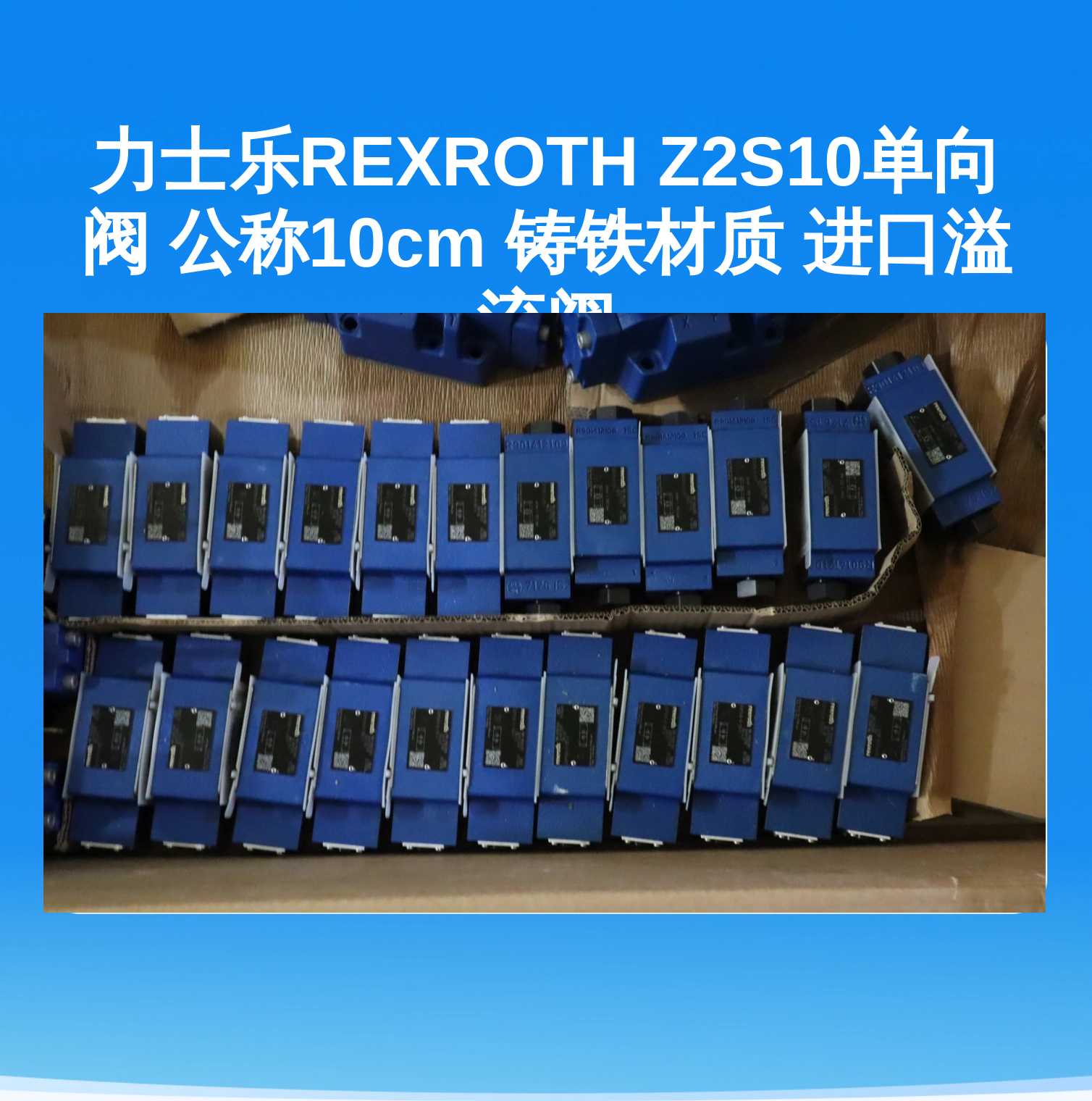 力士乐REXROTH Z2S10单向阀 公称10cm 铸铁材质 进口溢流阀