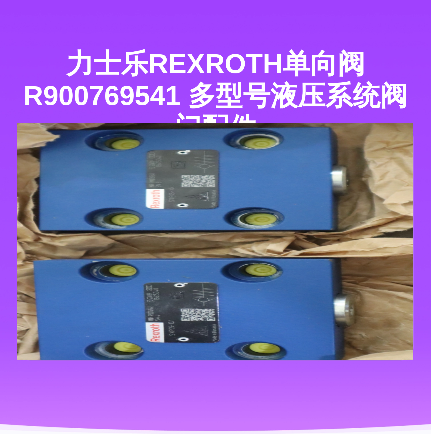 力士乐REXROTH单向阀 R900769541 多型号液压系统阀门配件