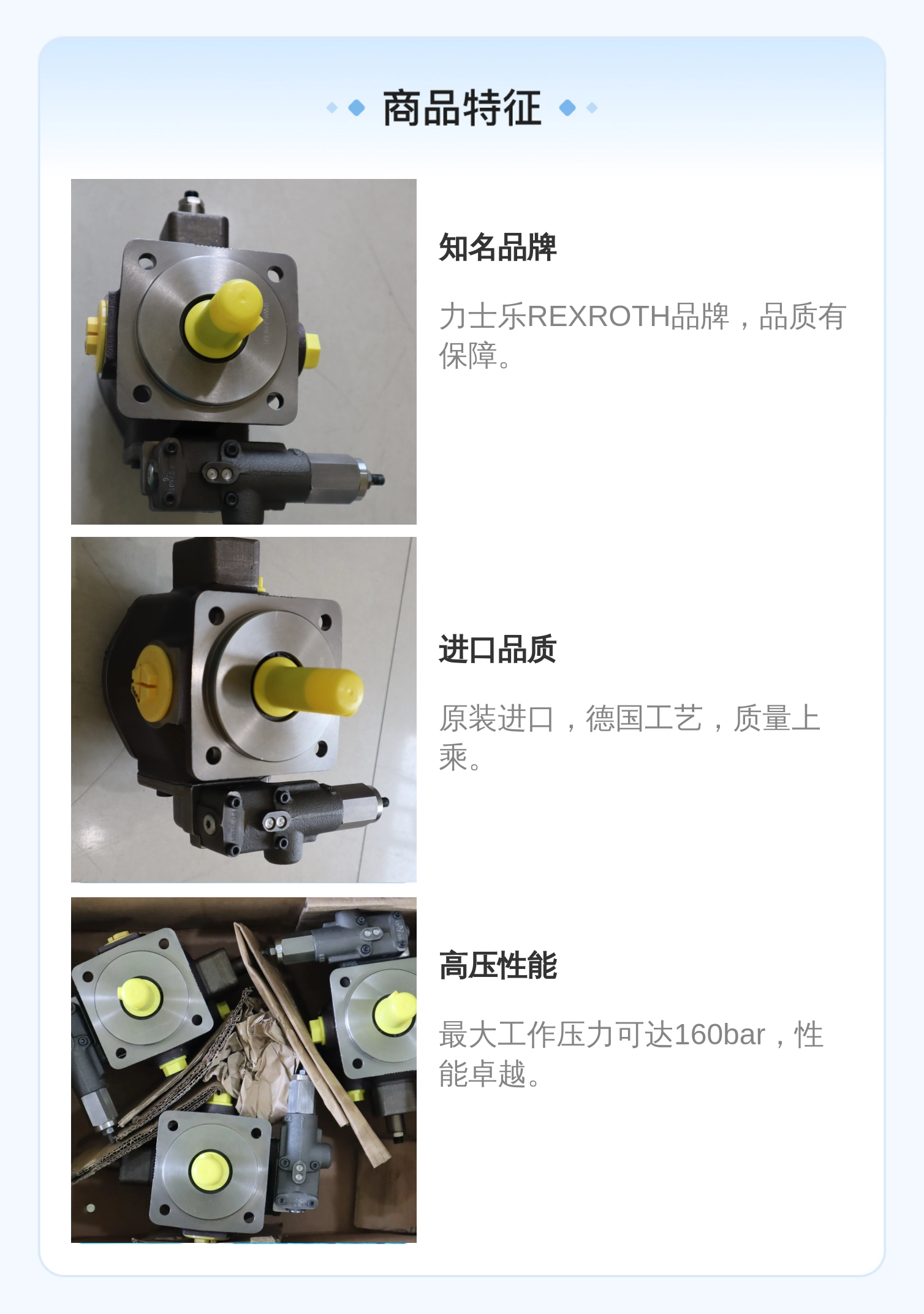 力士乐REXROTH蓝色铸铁叶片泵R900580382型号