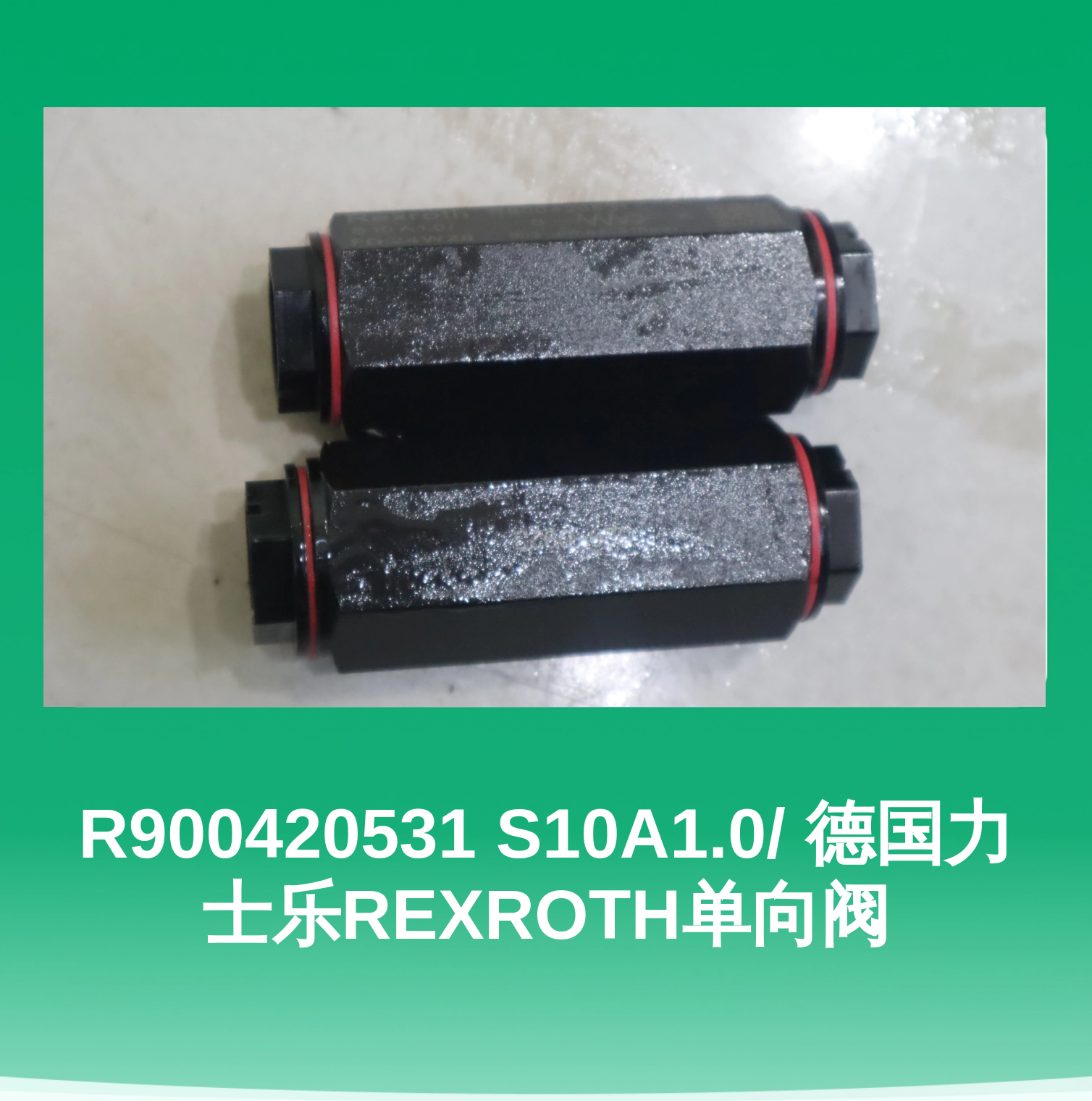 R900420531 S10A1.0/ 德国力士乐REXROTH单向阀