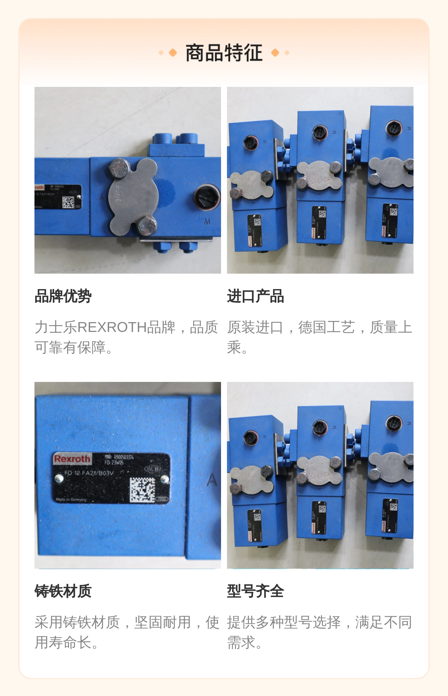 FD12FA2X/B03V FD12FA22/B03V R900503374 德国力士乐REXROTH平衡阀