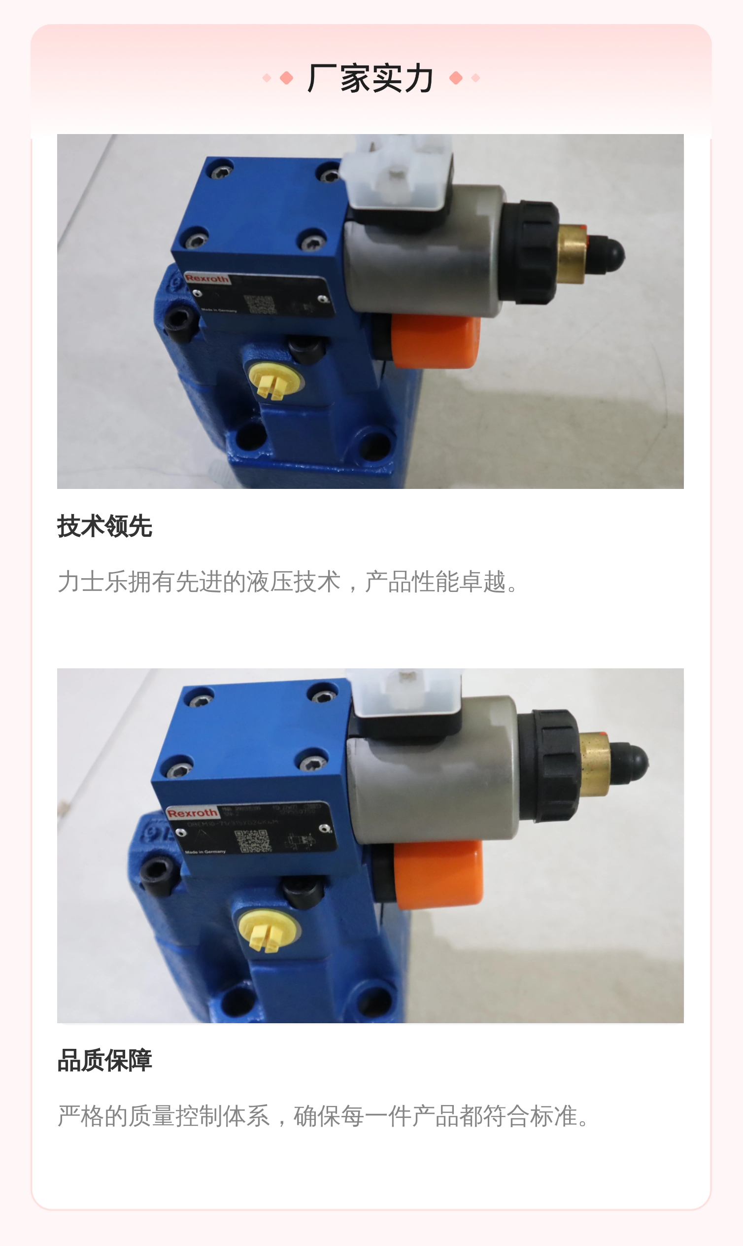 德国力士乐REXROTH比例溢流阀DBEM10-7X/315YG24K4M R901335399