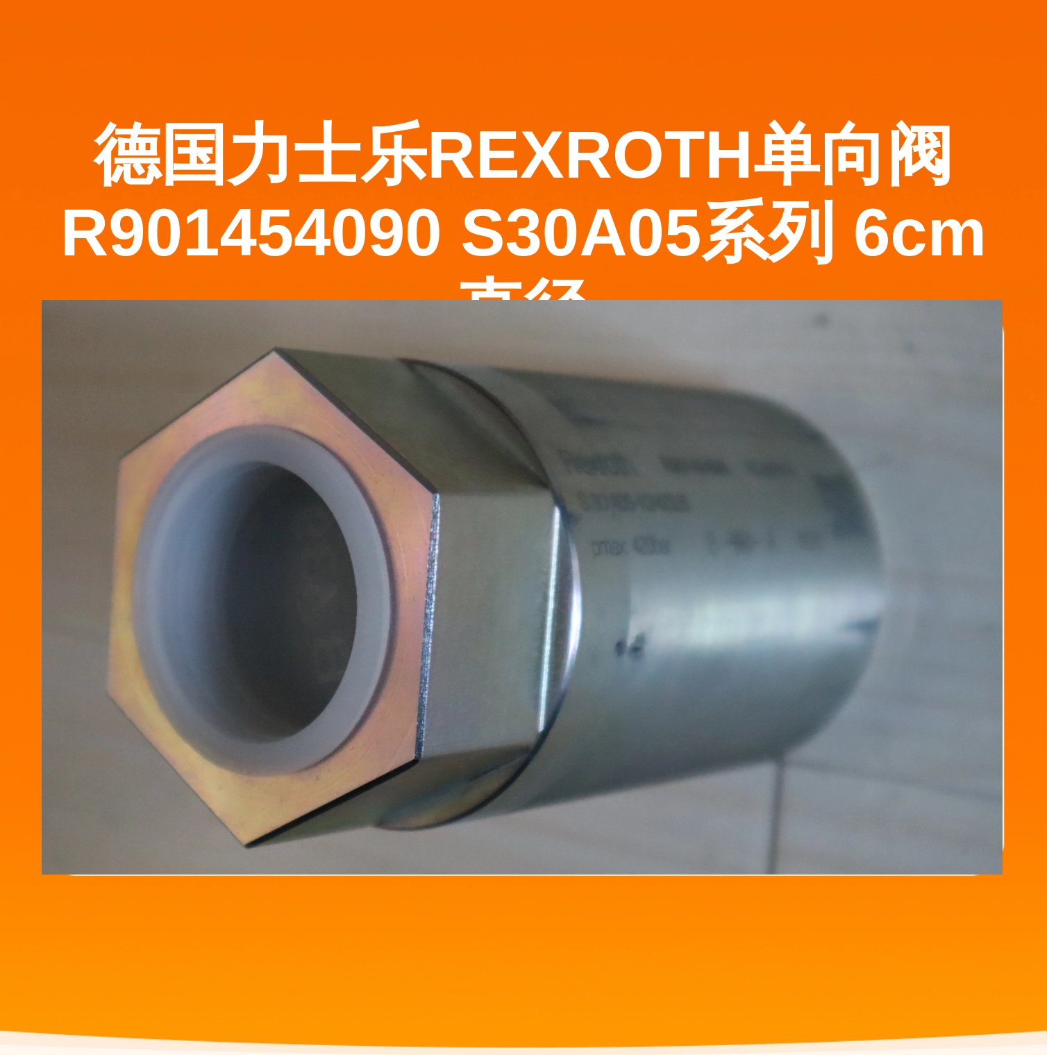 德国力士乐REXROTH单向阀 R901454090 S30A05系列 6cm直径