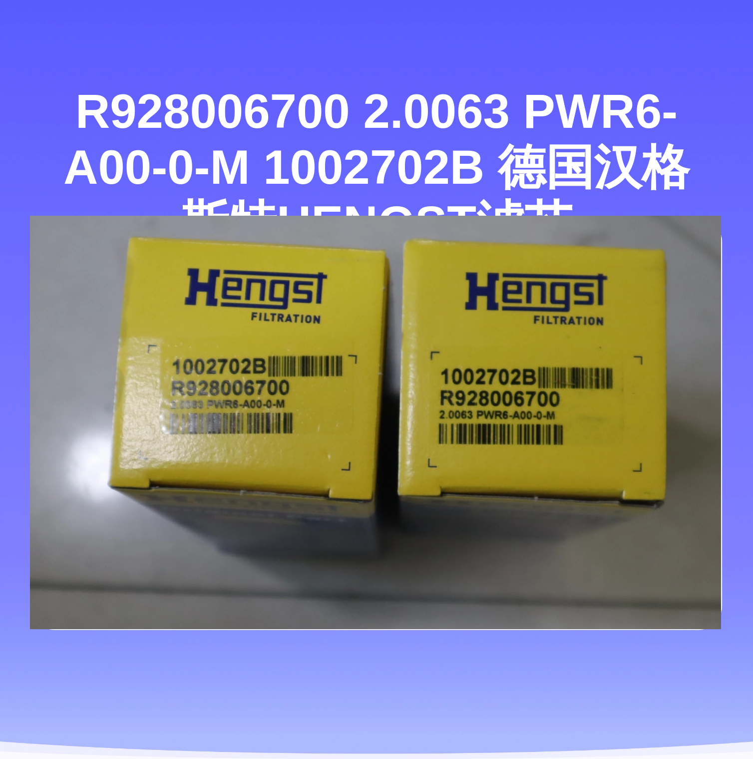R928006700 2.0063 PWR6-A00-0-M 1002702B 德国汉格斯特HENGST滤芯