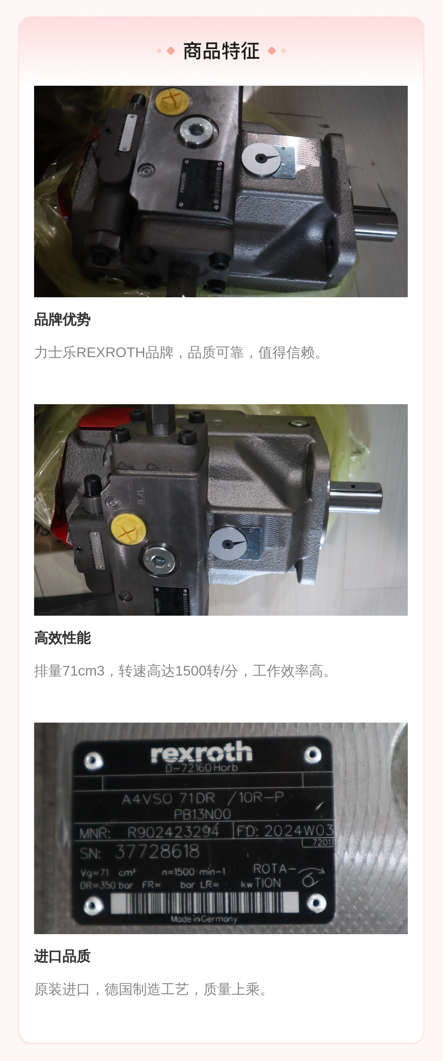 A4VSO71DR/30R-PPB13N00 R902423294 德国力士乐REXROTH柱塞泵