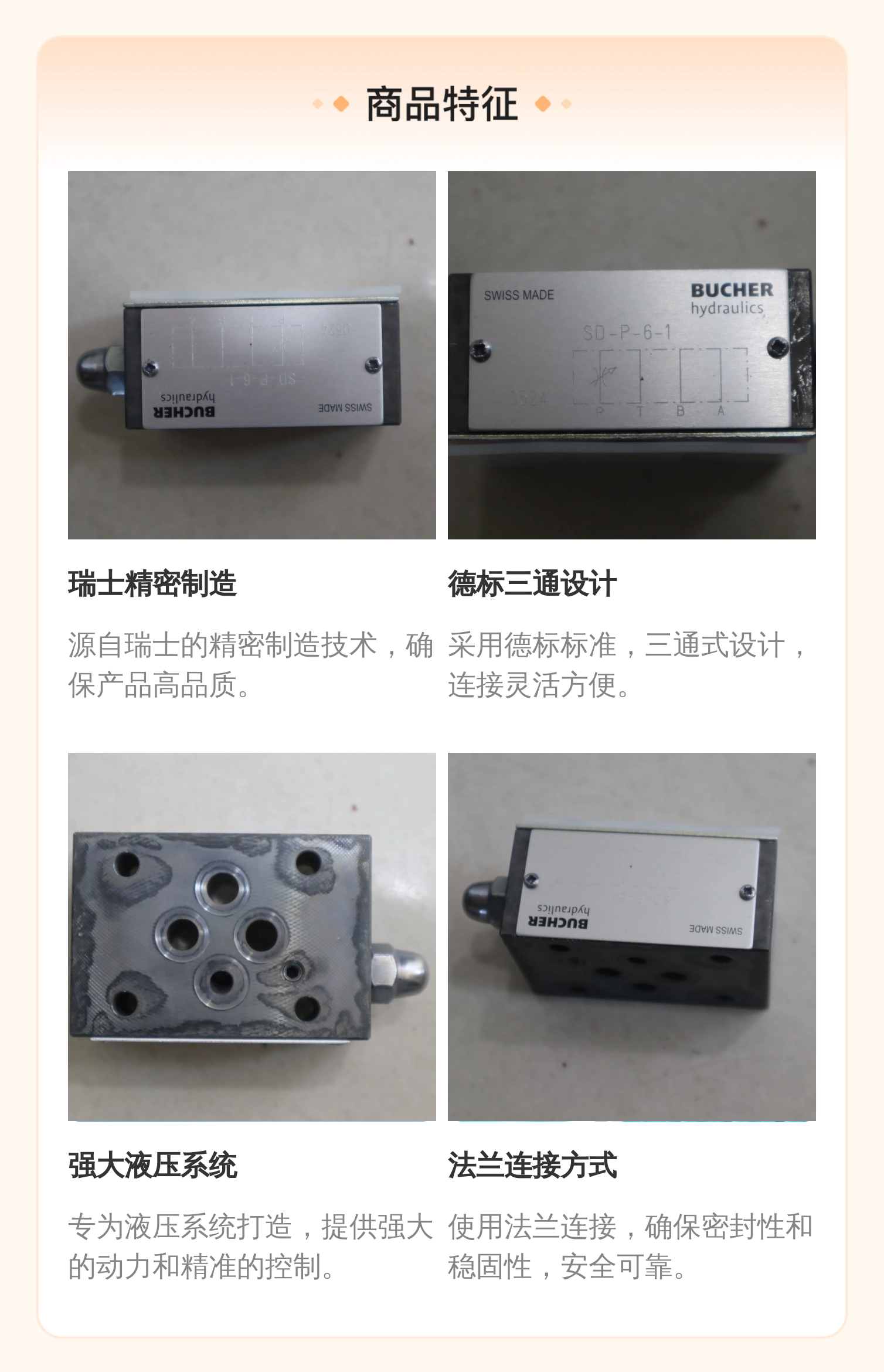 BUCHER-BUCHER HYDRAULICS 瑞士布赫液压阀SD-P-6-1