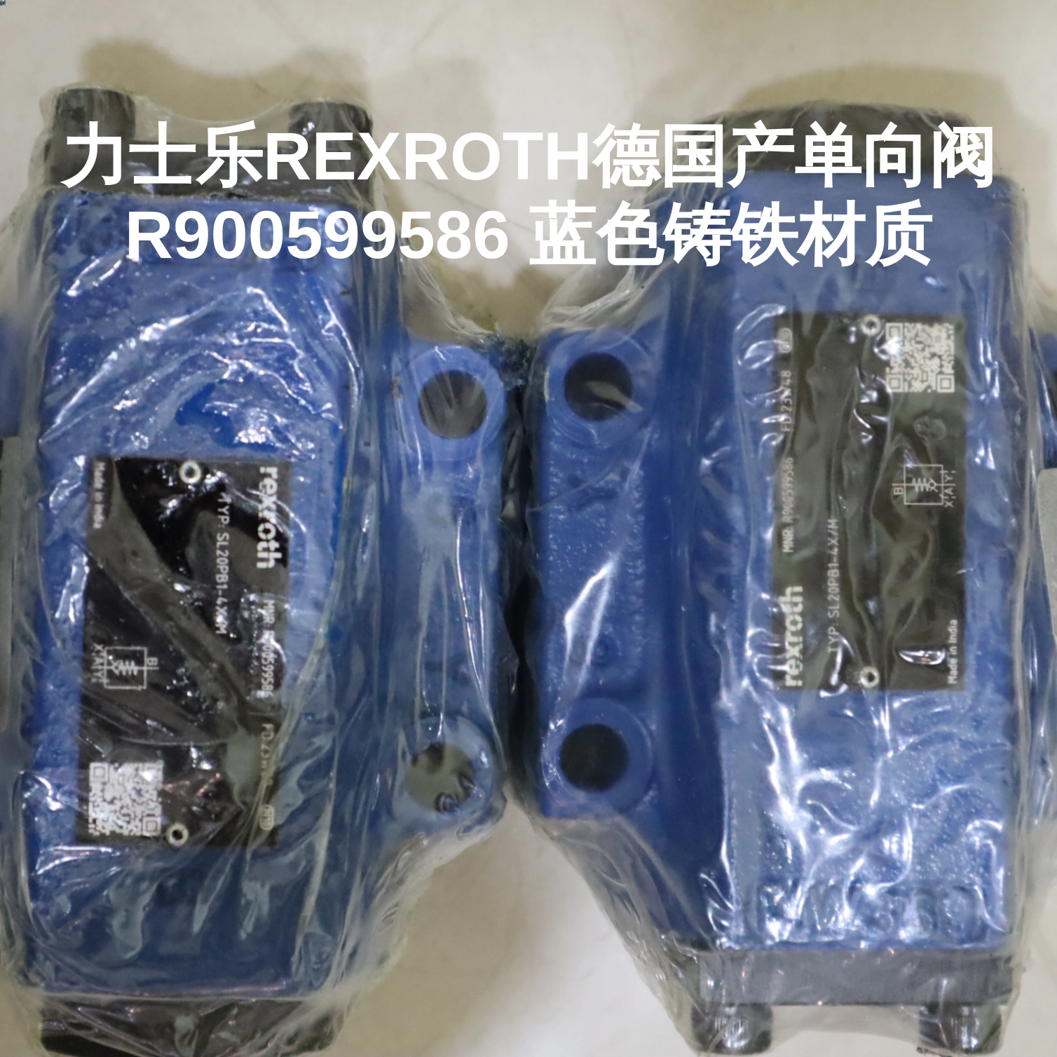 力士乐REXROTH德国产单向阀 R900599586 蓝色铸铁材质