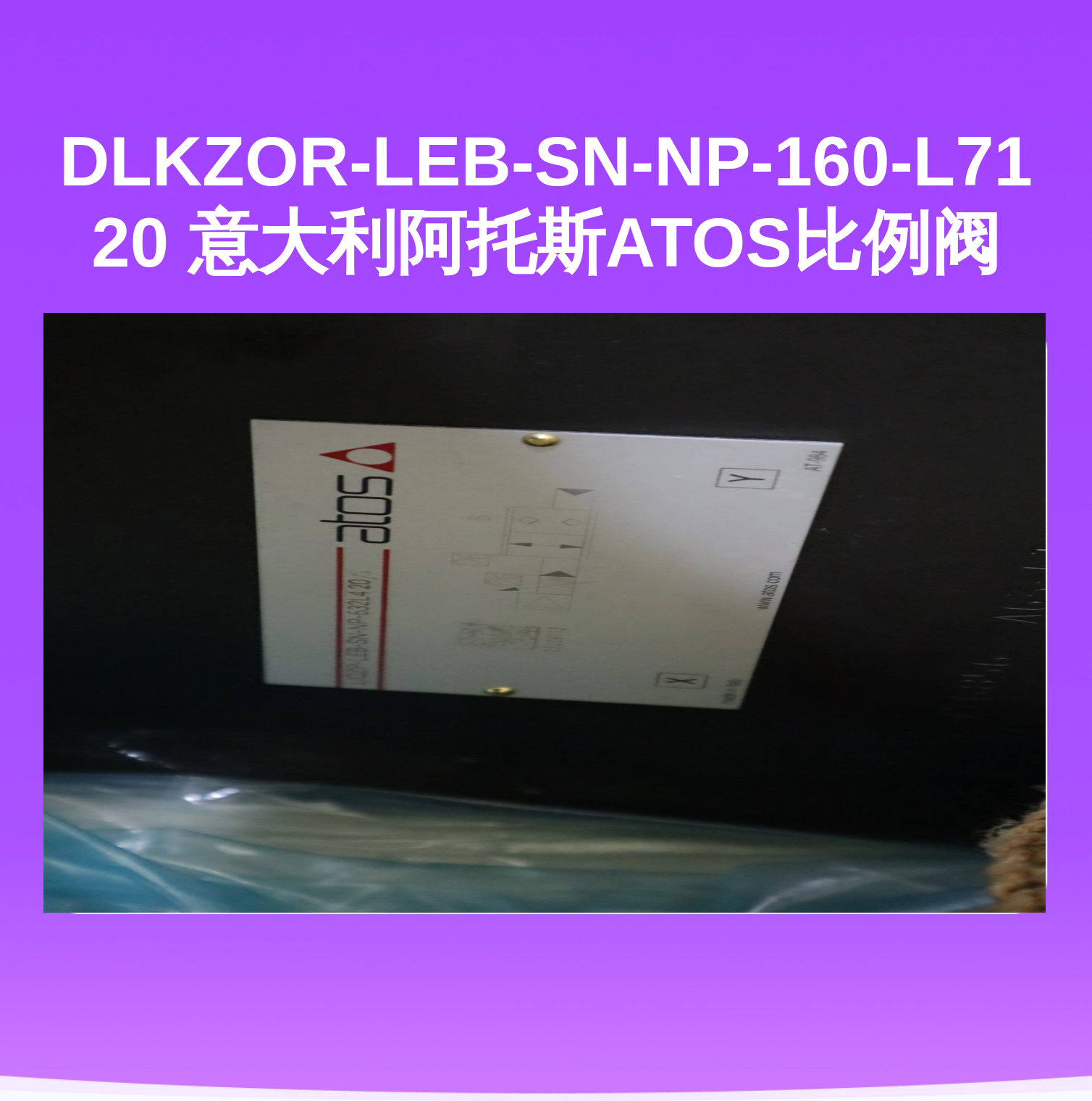 DLKZOR-LEB-SN-NP-160-L71 20 意大利阿托斯ATOS比例阀