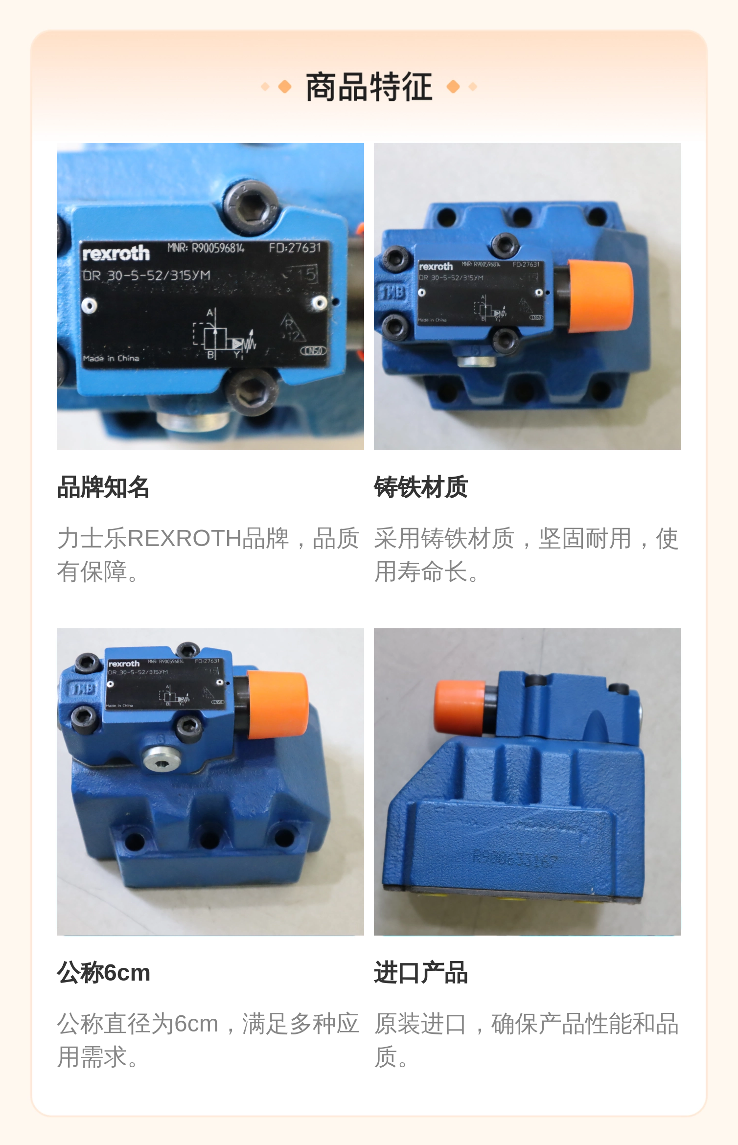 力士乐REXROTH DR30-5蓝色铸铁减压阀 公称6cm