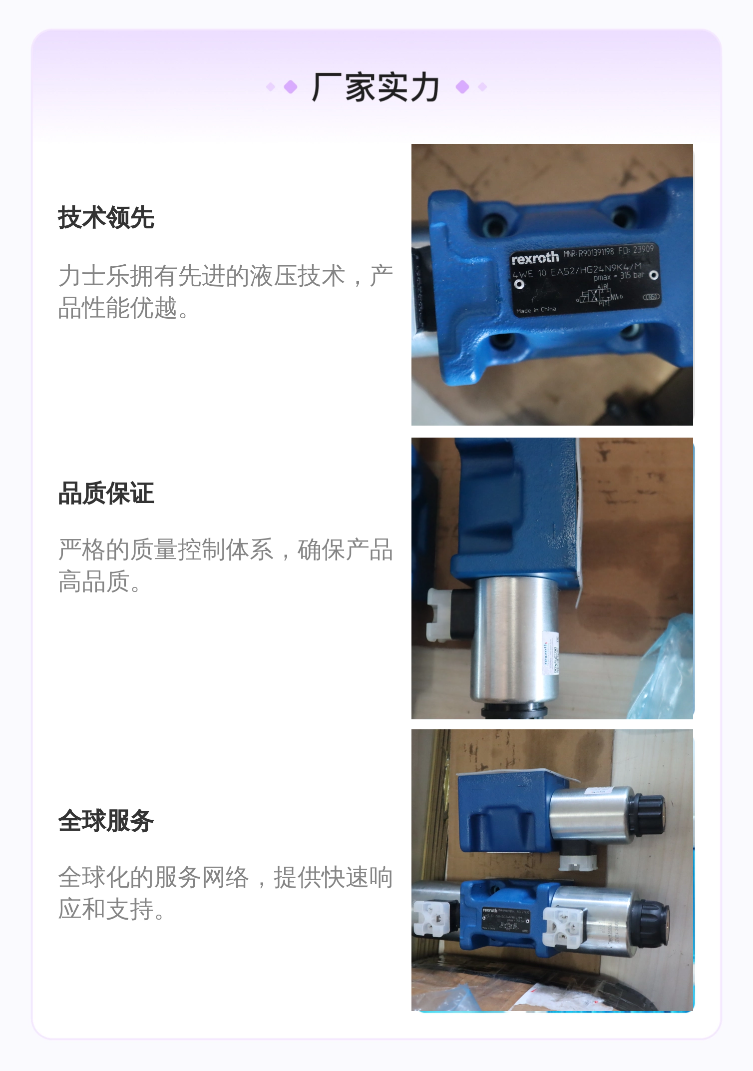 力士乐REXROTH蓝色铸铁电磁阀 R901391198型号
