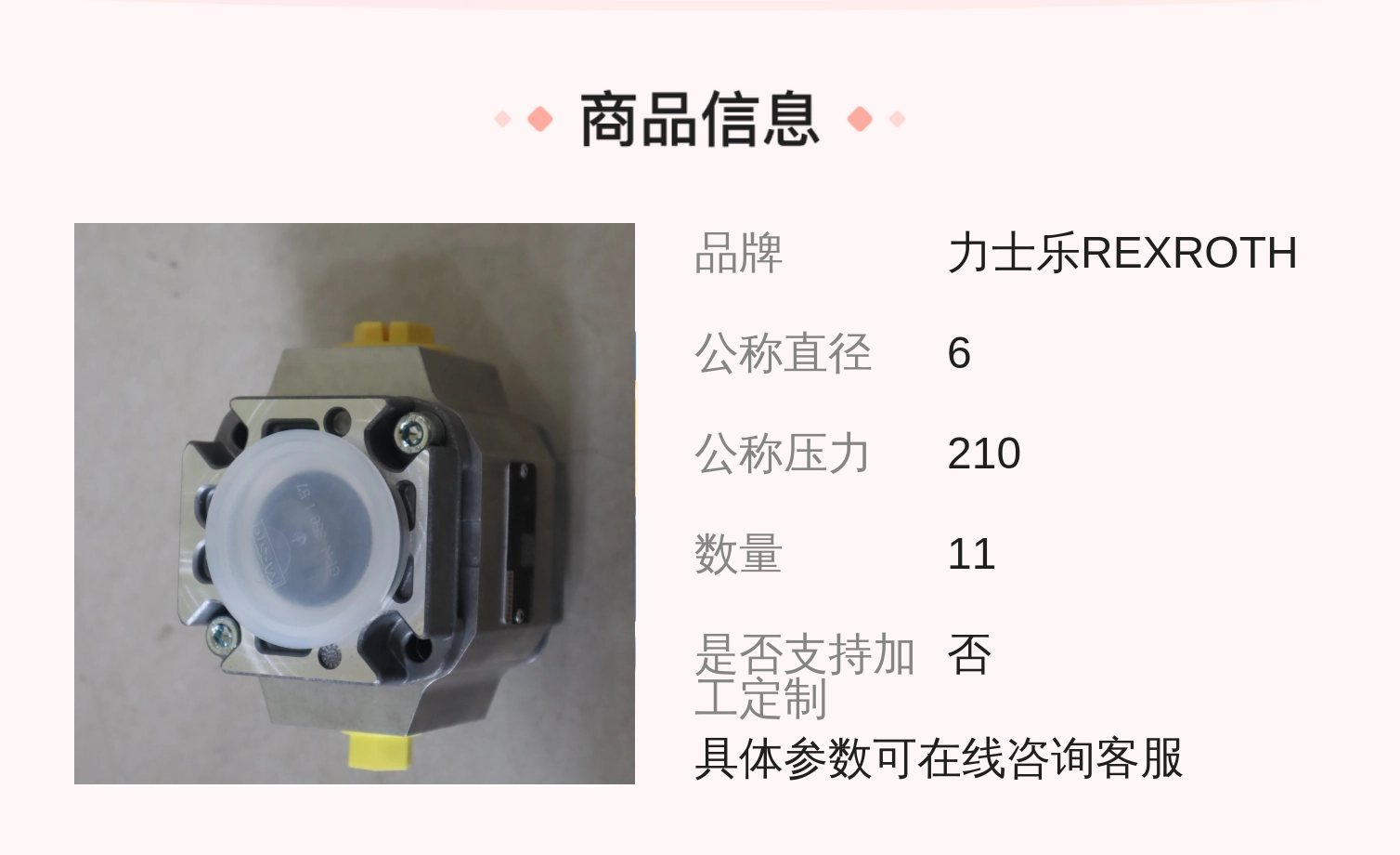 德国力士乐REXROTH齿轮泵R900984240液压系统元件