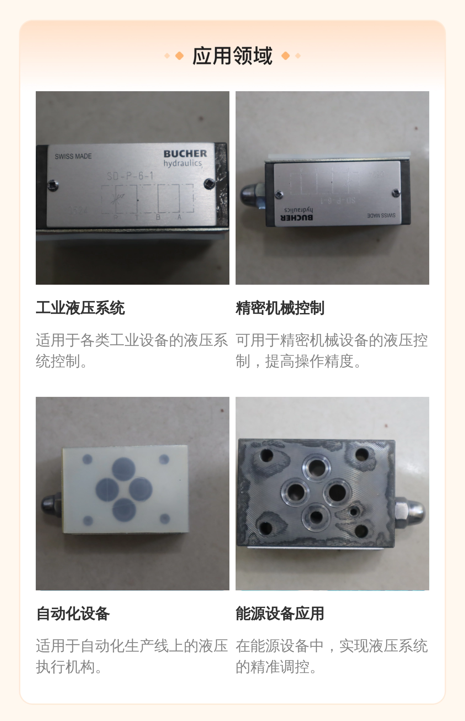 BUCHER-BUCHER HYDRAULICS 瑞士布赫液压阀SD-P-6-1