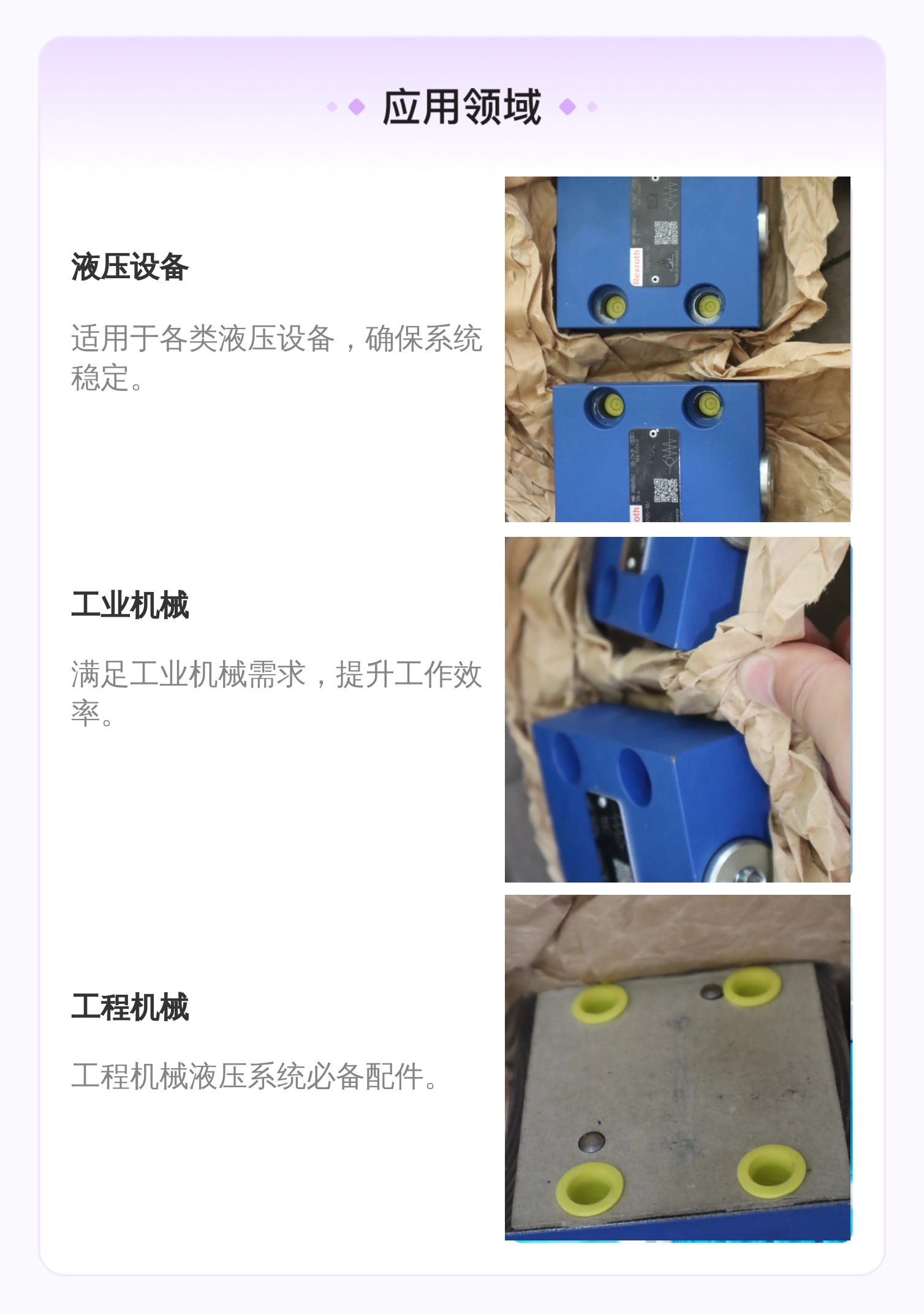 力士乐REXROTH单向阀 R900769541 多型号液压系统阀门配件