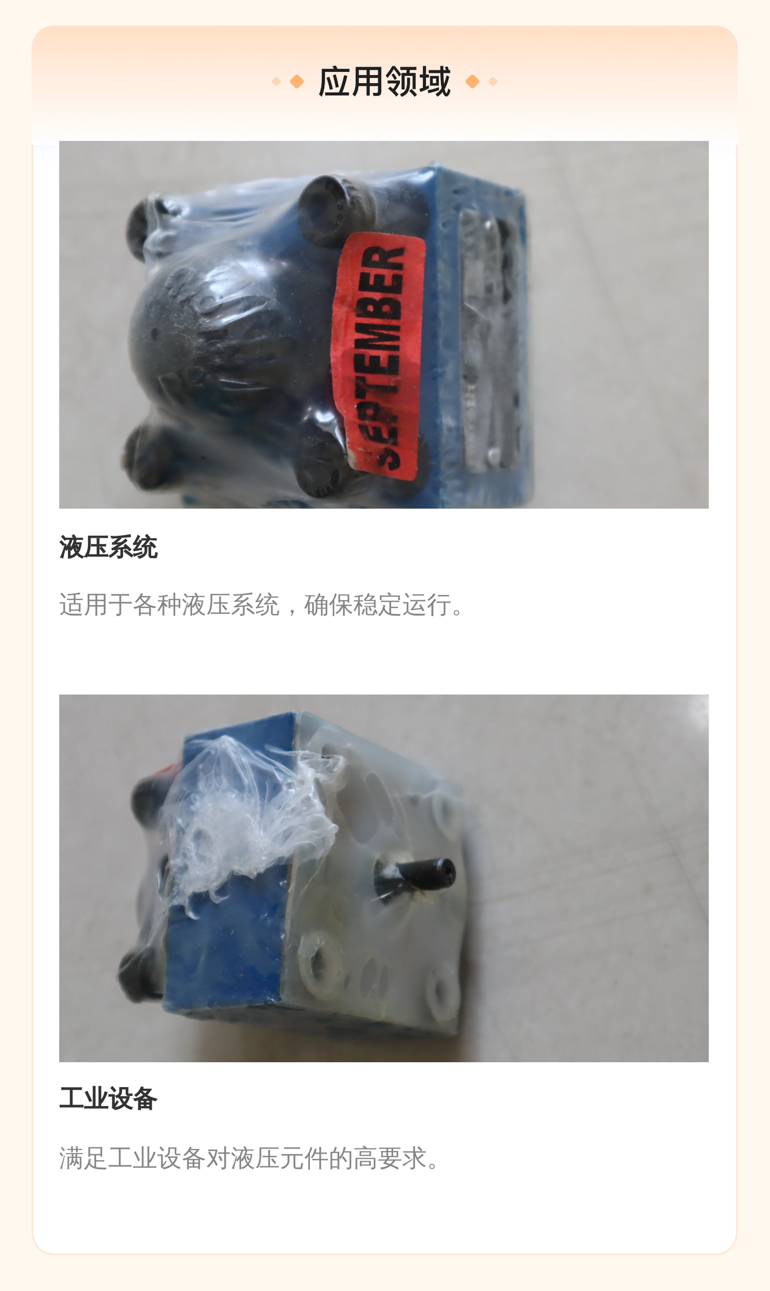力士乐REXROTH进口液压元件蓝色盖板木箱包装6cm直径11个装
