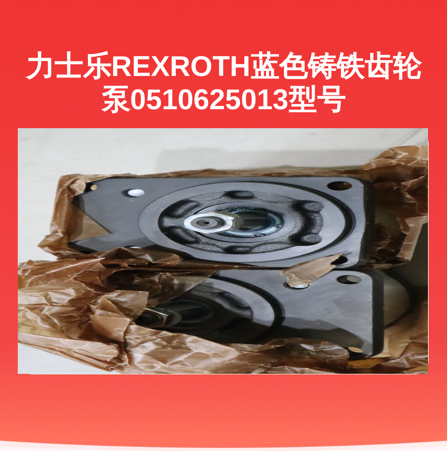 力士乐REXROTH蓝色铸铁齿轮泵0510625013型号