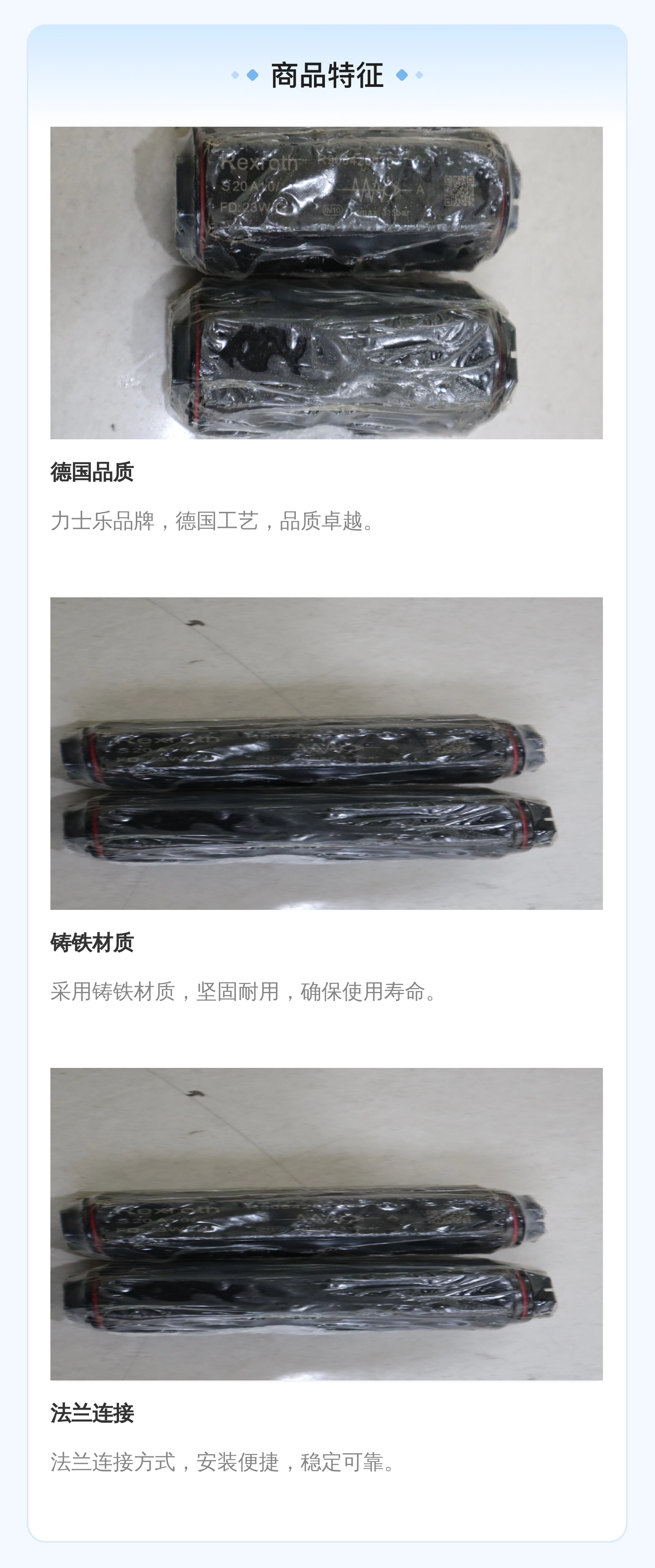 德国力士乐REXROTH液压系统用单向阀 6cm公称直径 蓝色铸铁材质