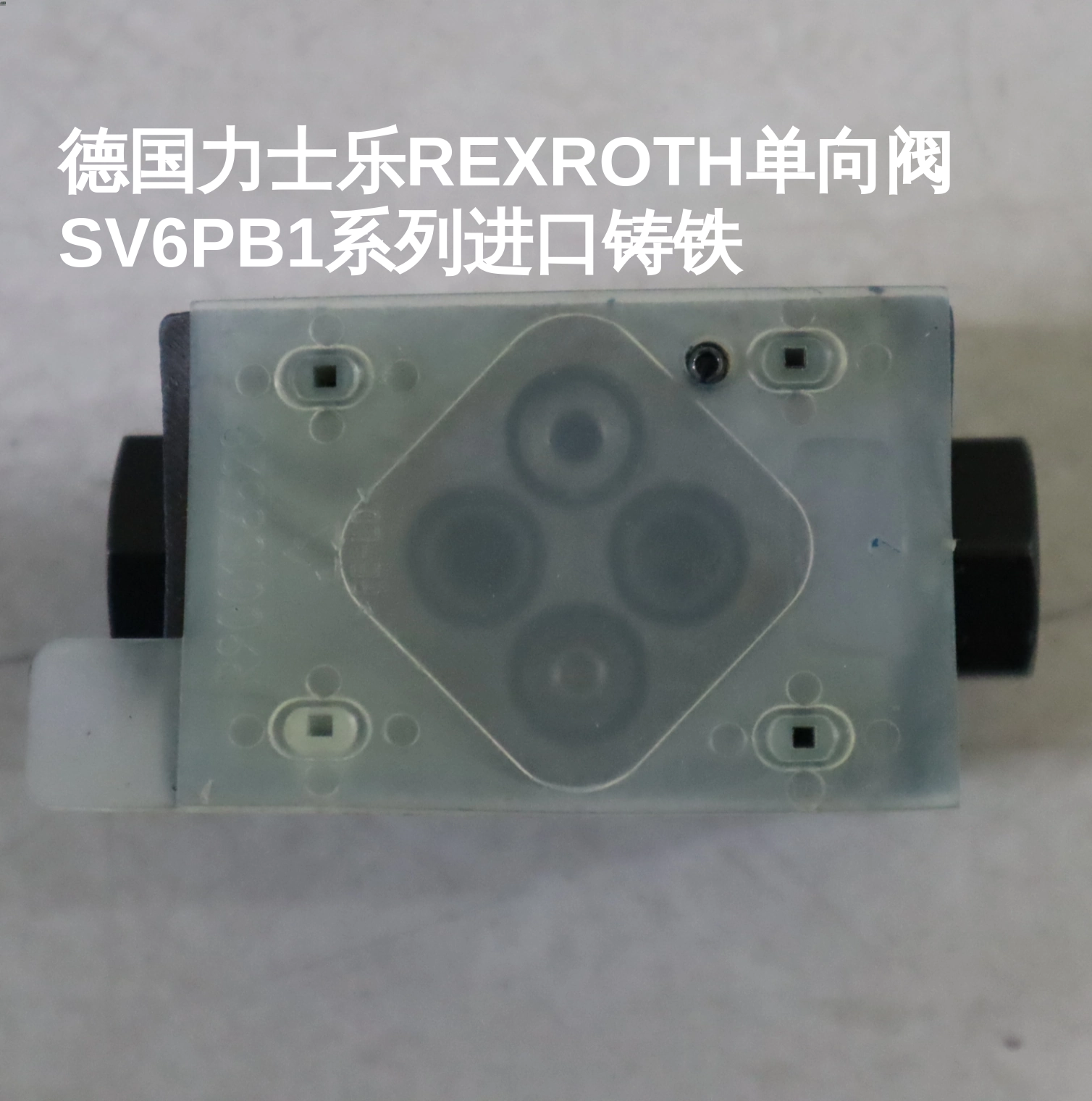 德国力士乐REXROTH单向阀SV6PB1系列进口铸铁