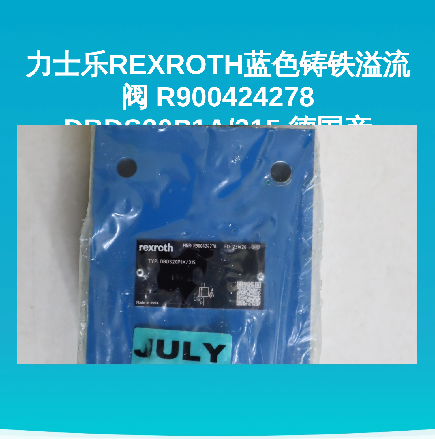力士乐REXROTH蓝色铸铁溢流阀 R900424278 DBDS20P1A/315 德国产